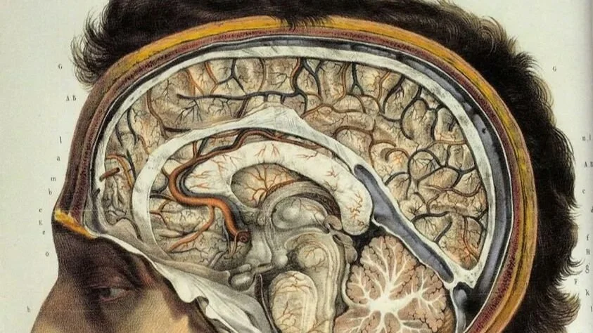 Neuroscience and the Soul