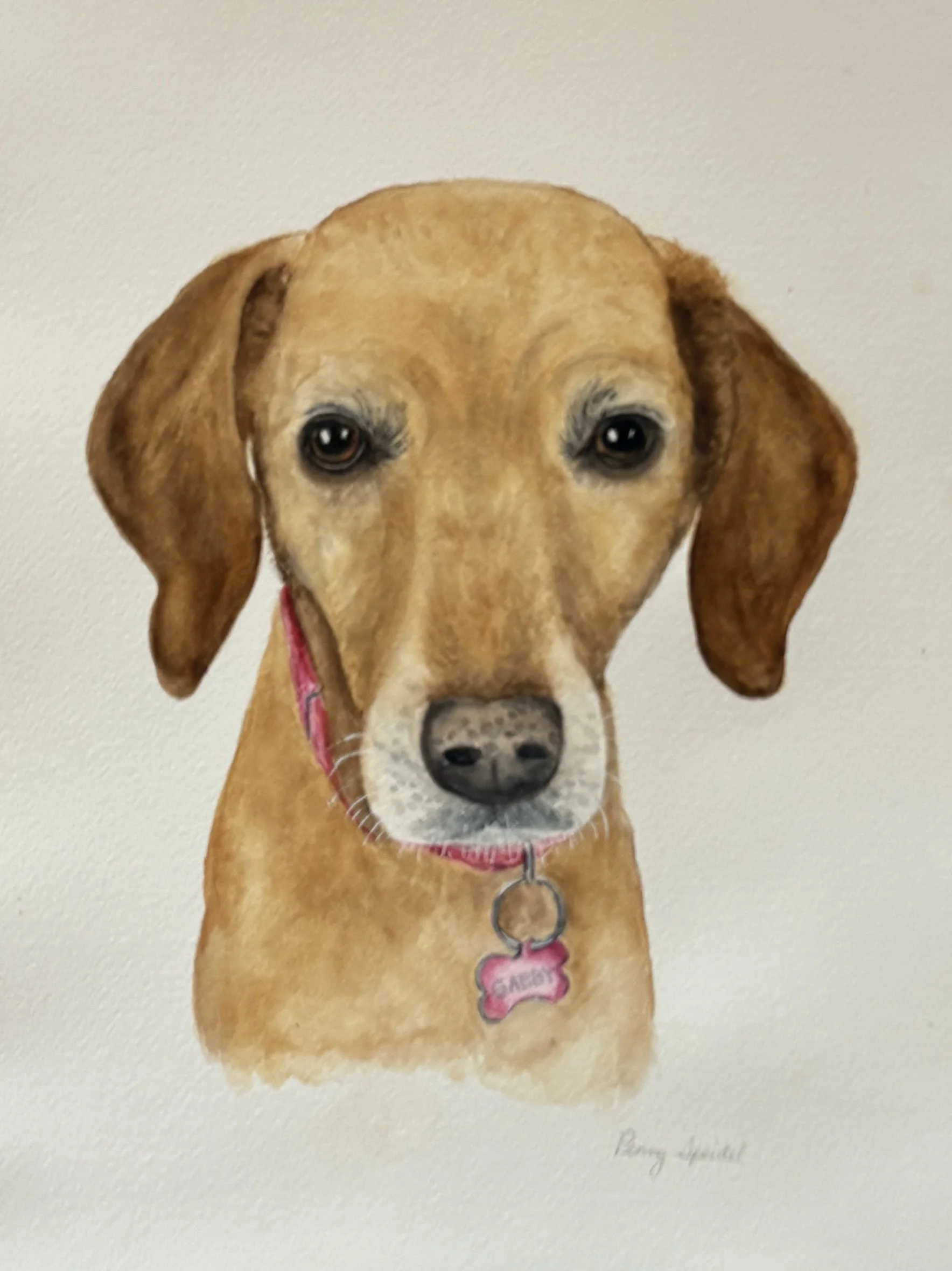 Gabby (NFS)