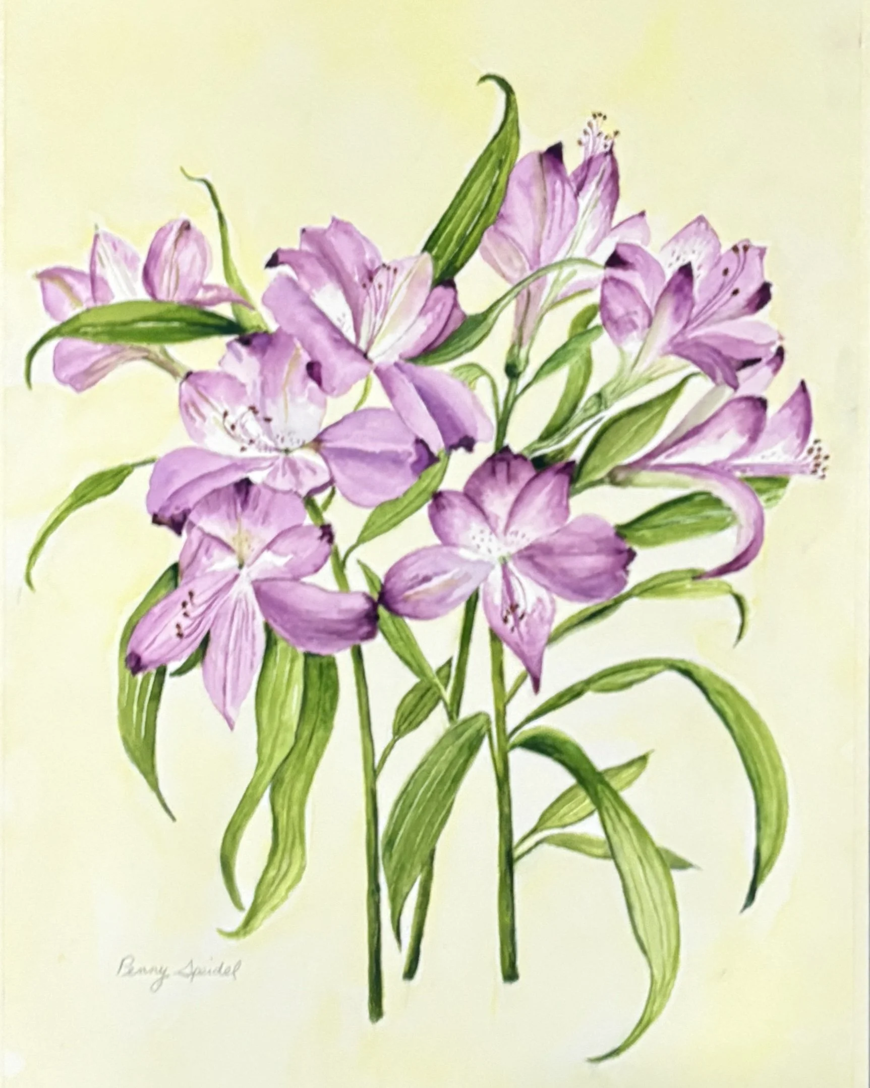 Flowers (click here)