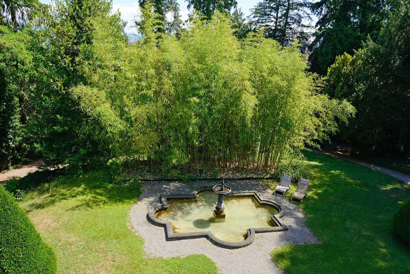 EcoScout_Bambus_Brunnen.jpg