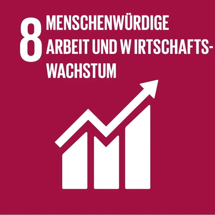 SDG_08.jpg