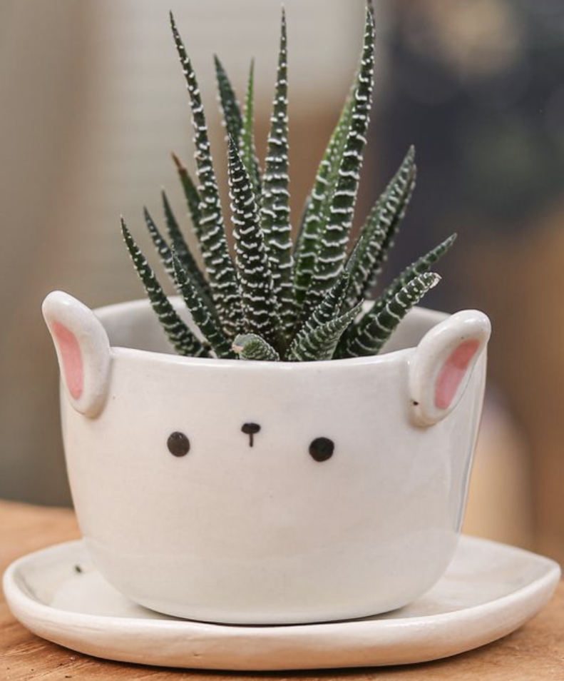 (1 spots left) Kids Drop In Class: 3/5 Bunny Planter/Plate Set Wednesday 3:00-5:00PM