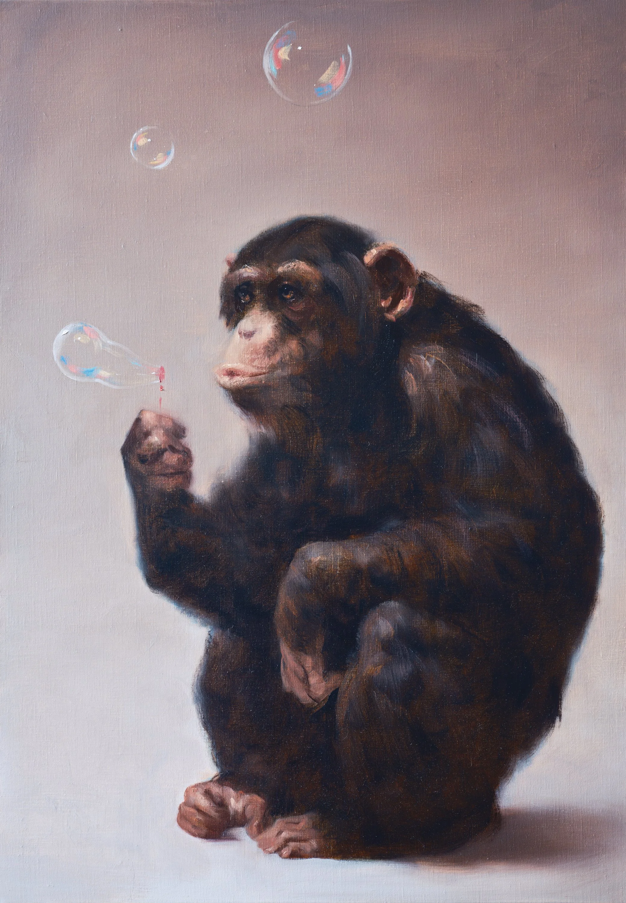 Bubbles, 70 x 100 cm, Oil on Linen, 2026