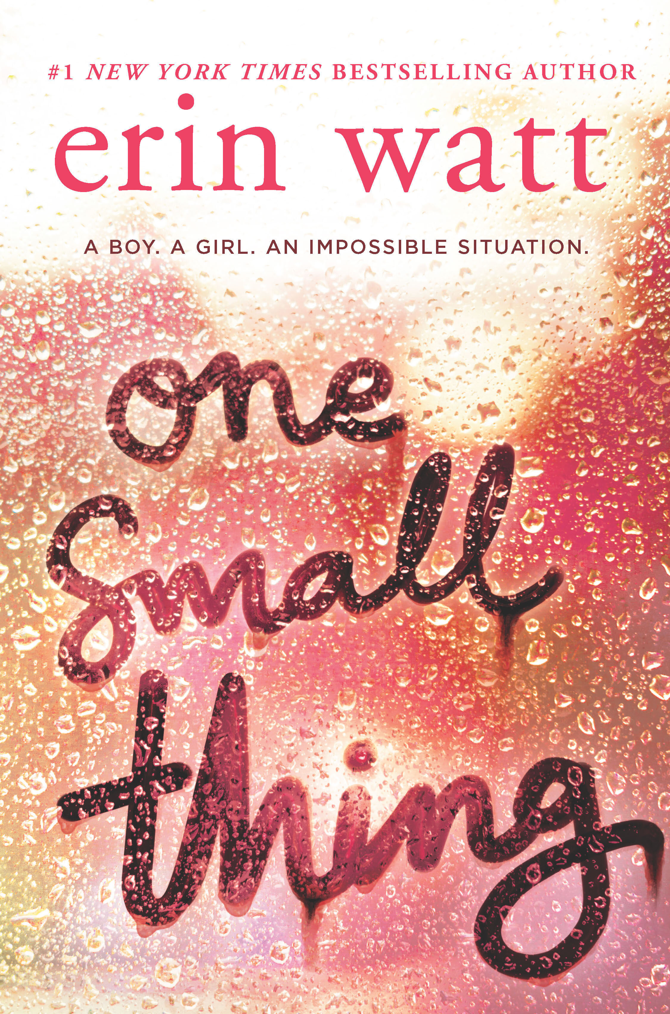 ONE SMALL THING Cover - Erin Watt.jpg
