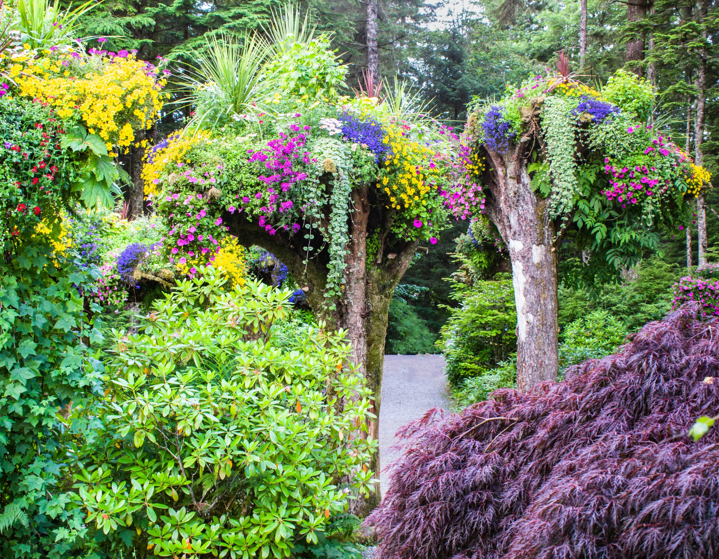 Rainforest Adventure Tours