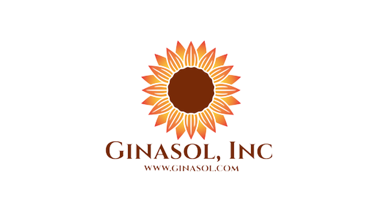 Dr. Gina Ann Garcia is a leading scholar of higher education and organizational change and serves as a professor in the Berkeley School of Education.