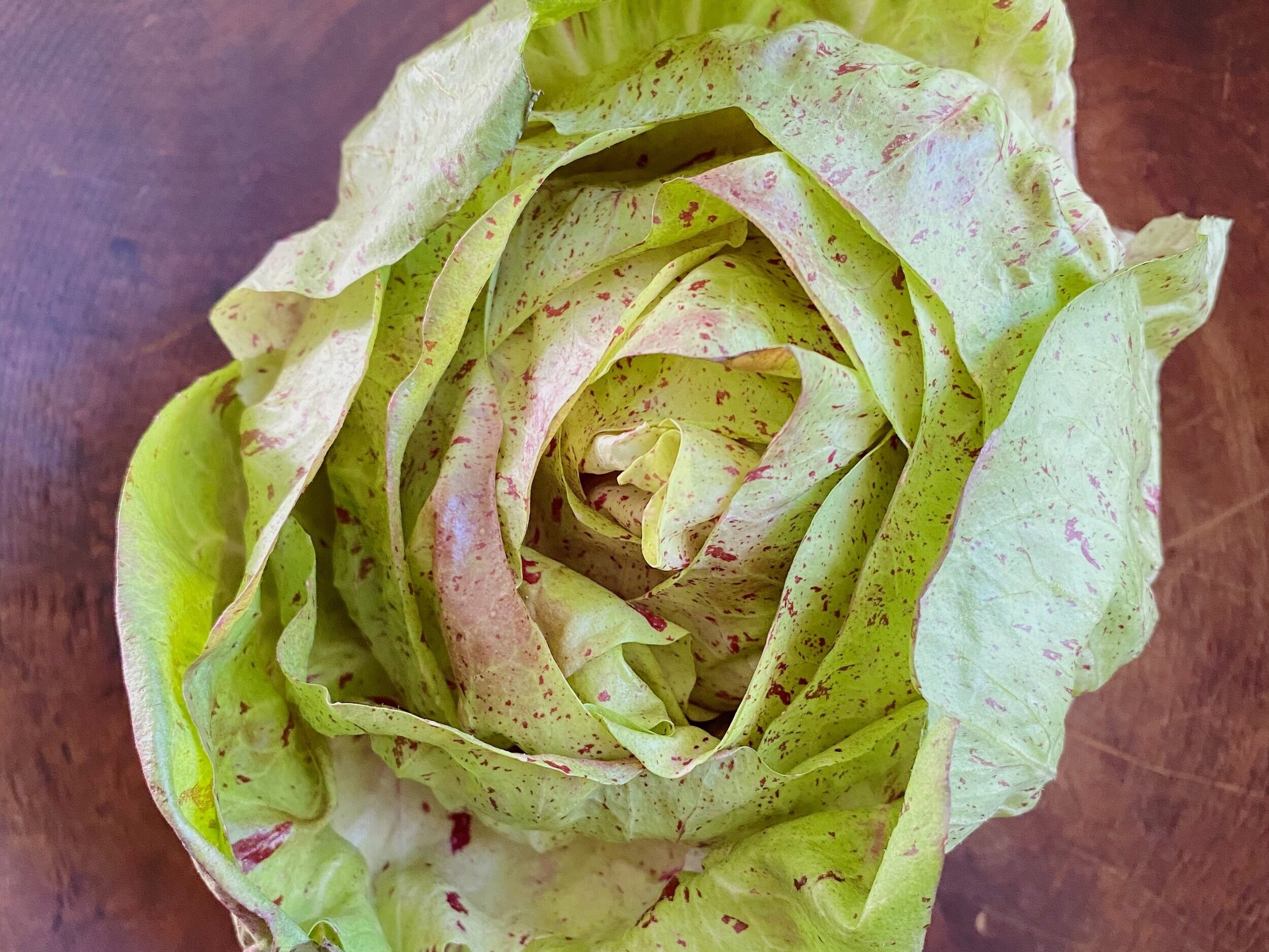 In the Autumn Salad Revolution, Radicchio Reigns as Queen