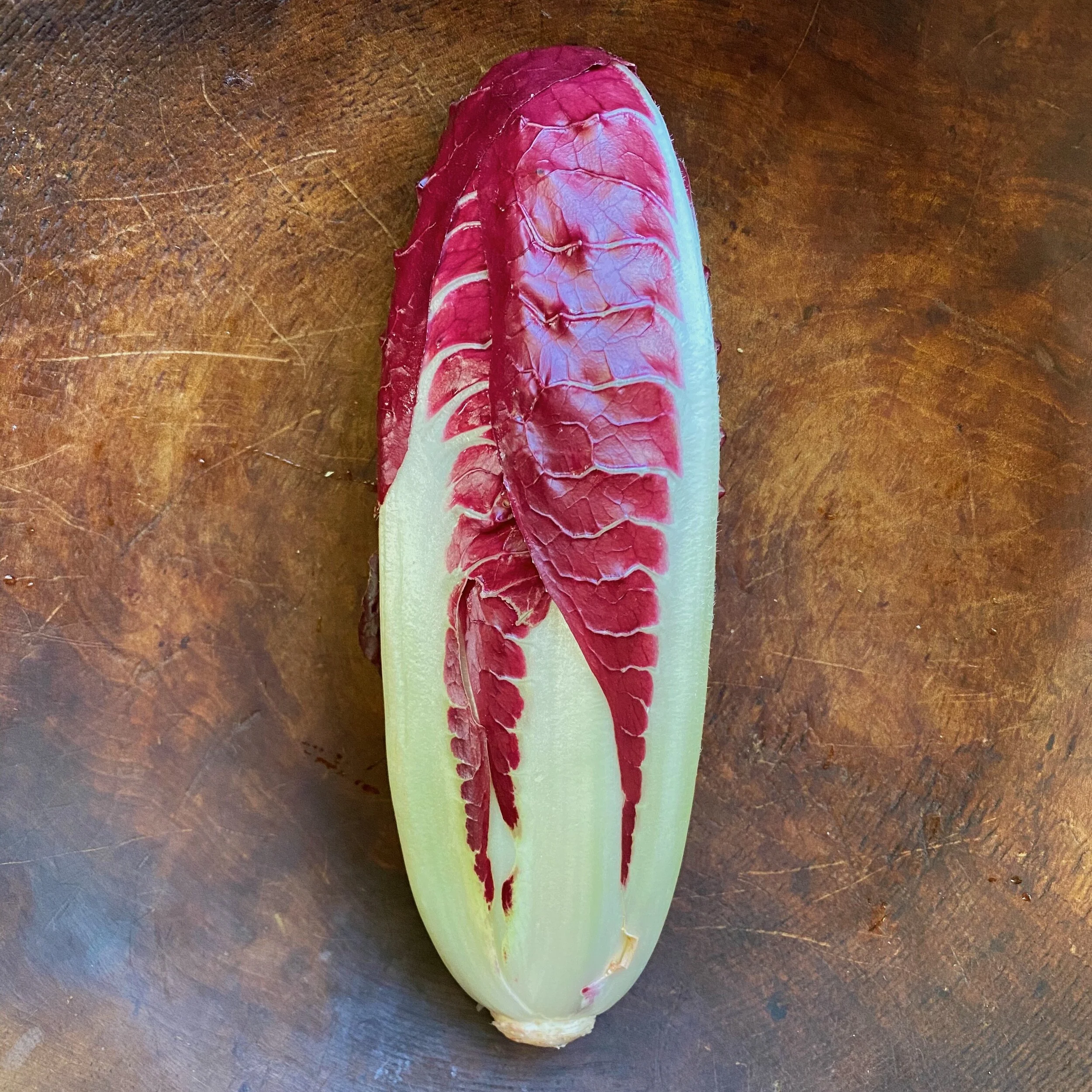 Radicchio, Treviso