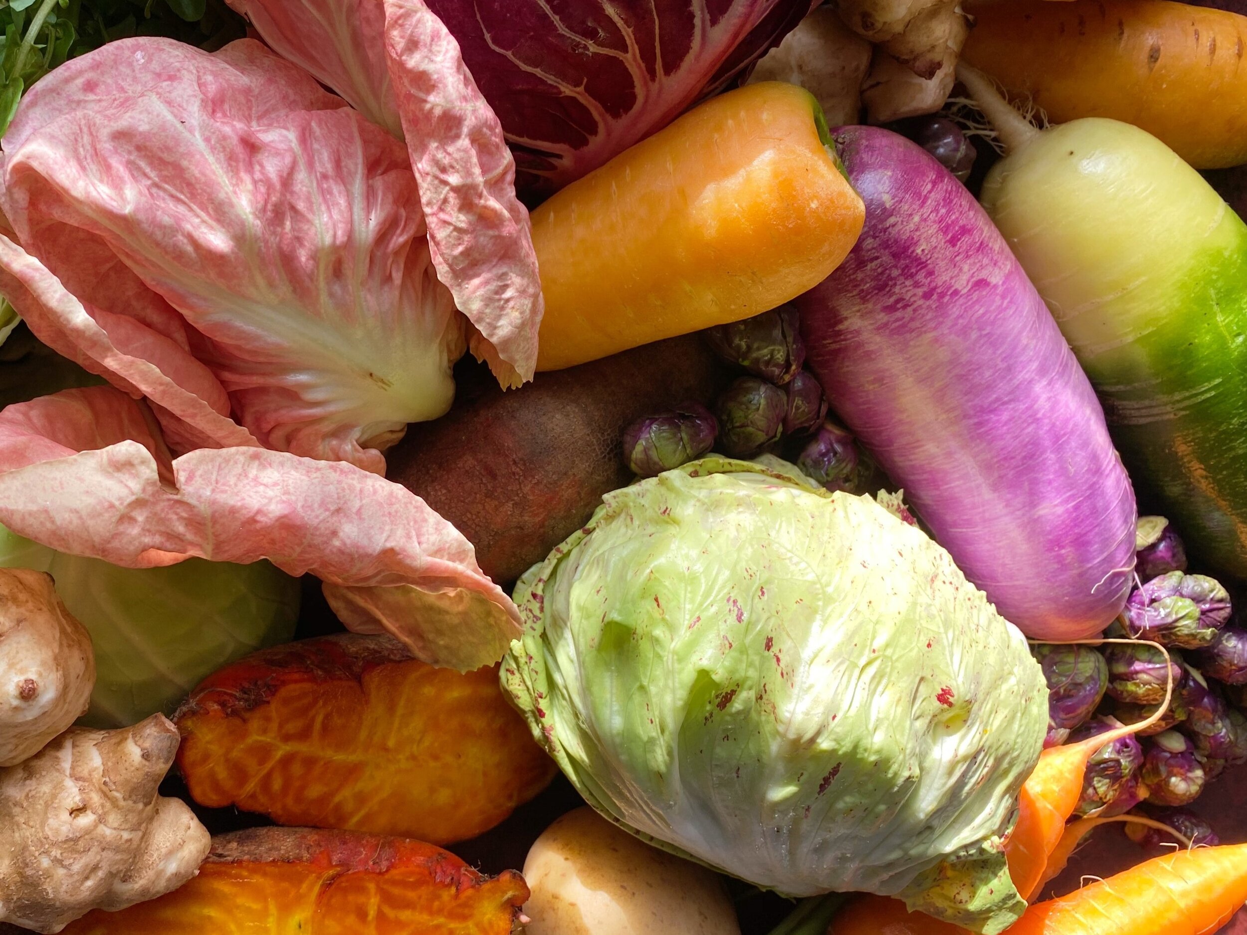Usher in the New Year with Northwest’s Best Organic Winter Veg!