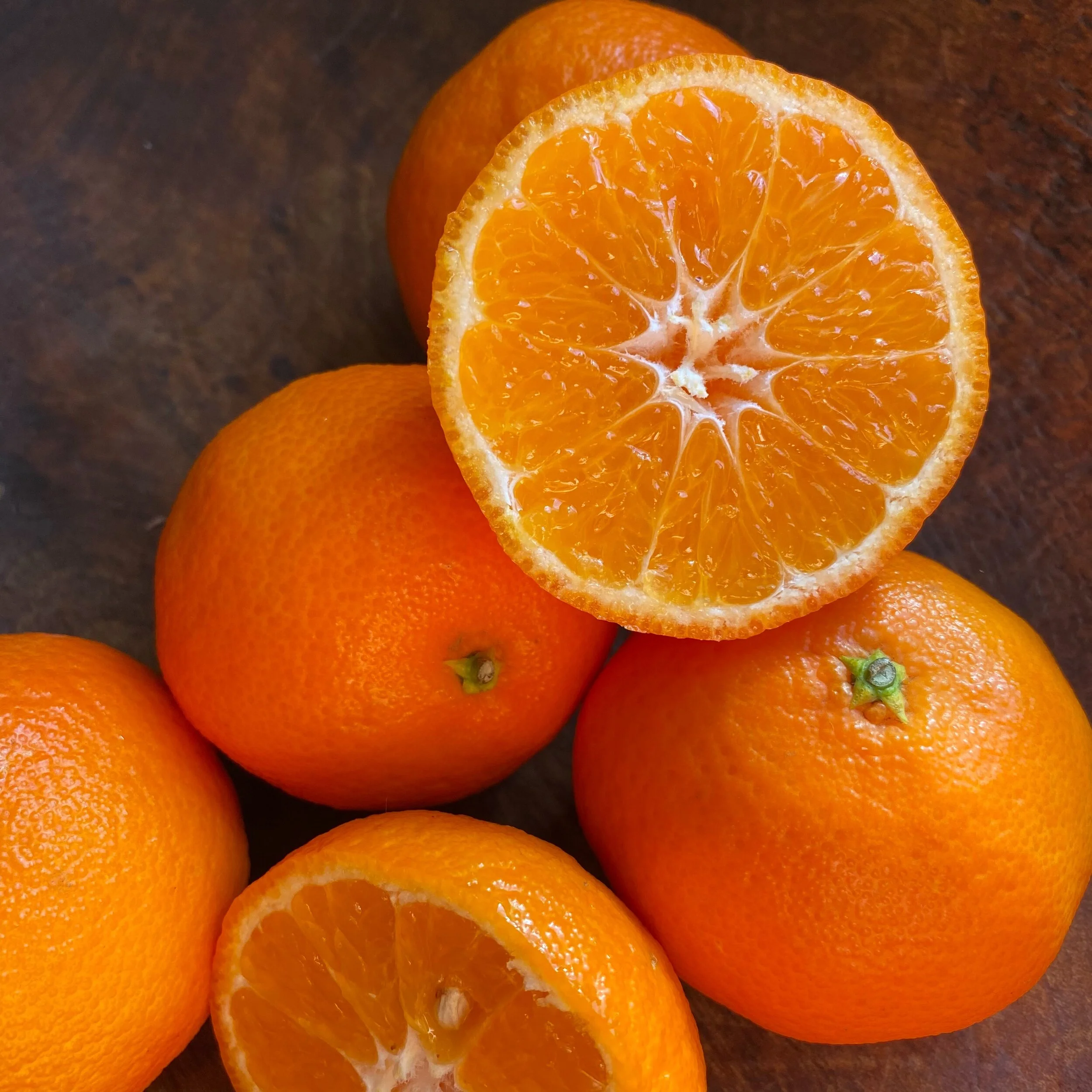 Algerian Mandarin