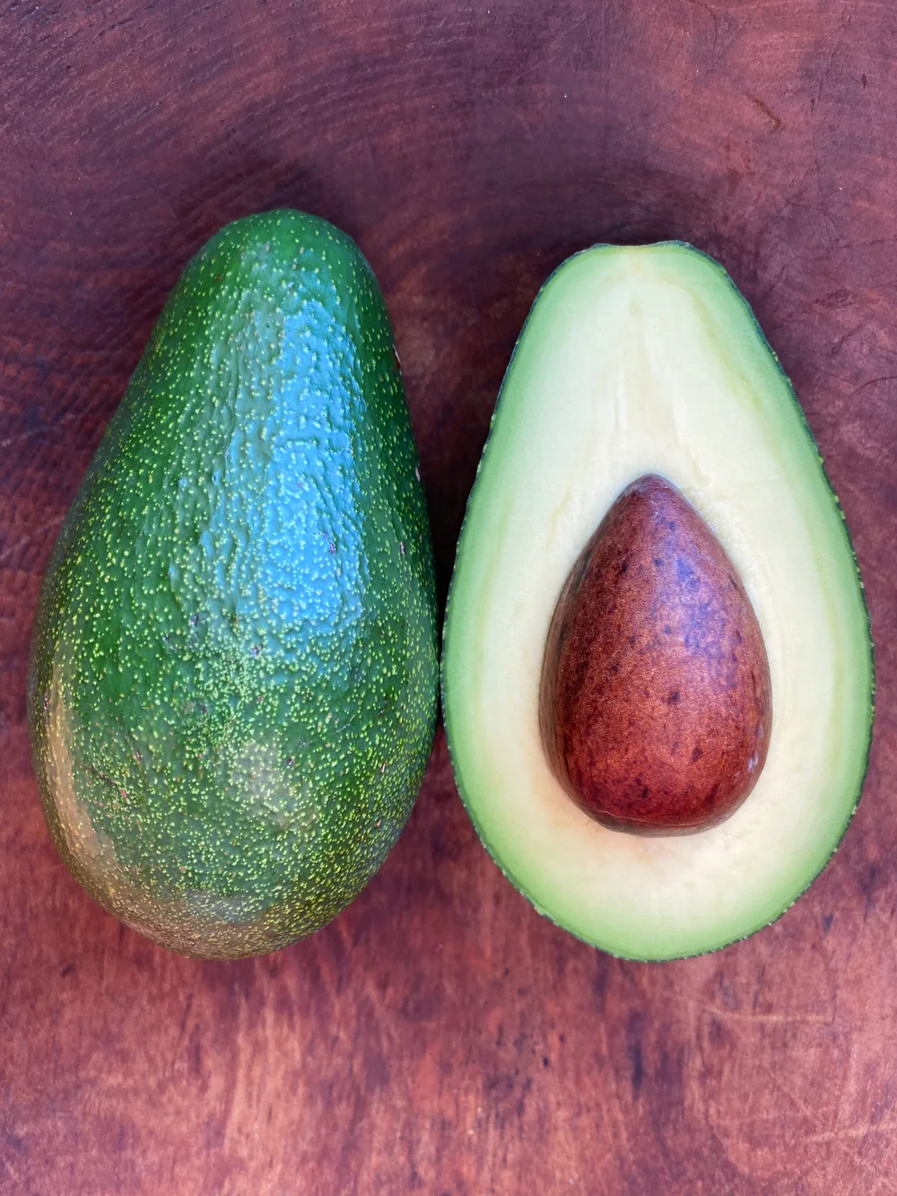 The Fascinating World of Green Skin Avocados — Organically Grown Company