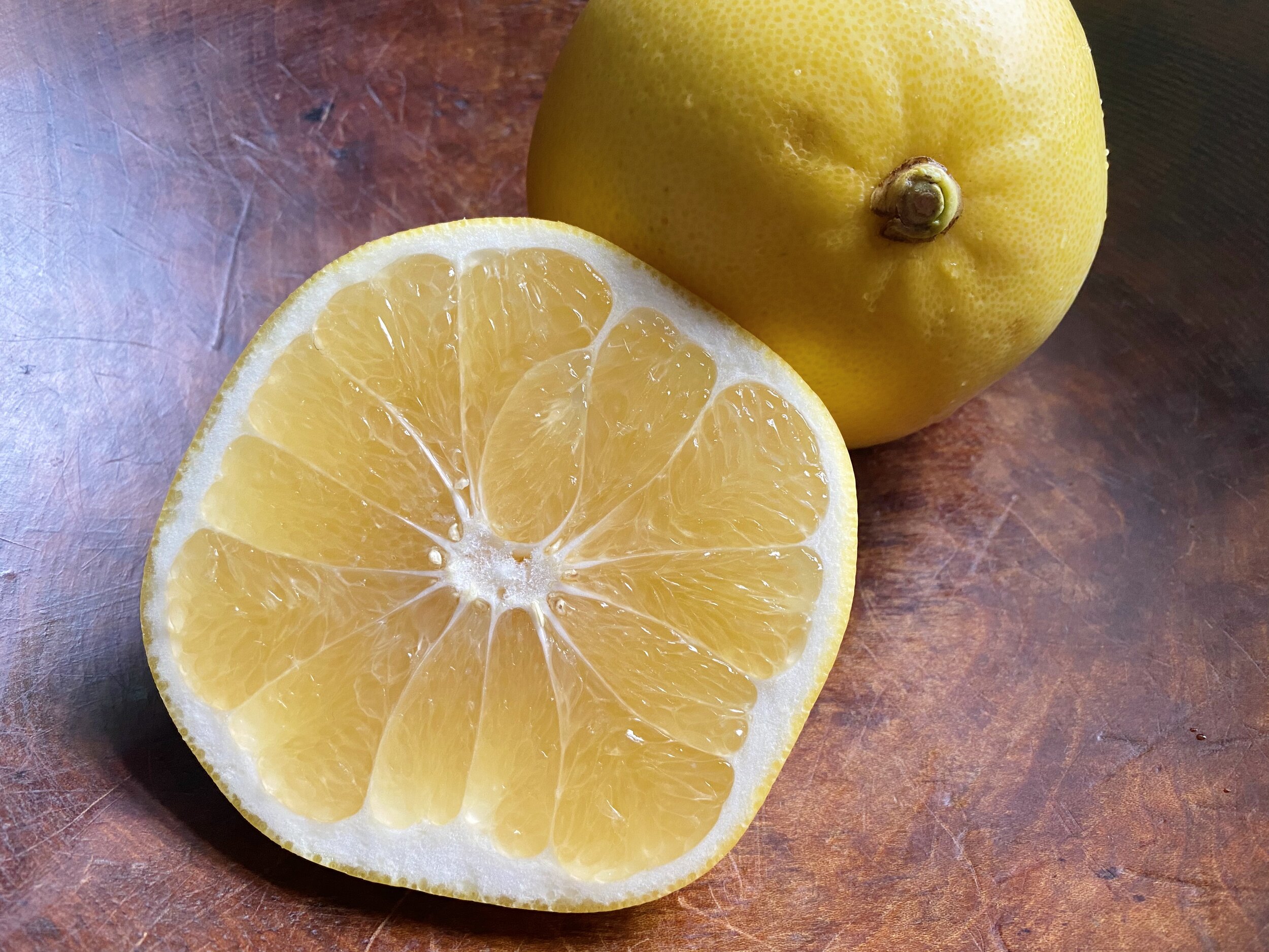Tasting Video: Melogold Grapefruit