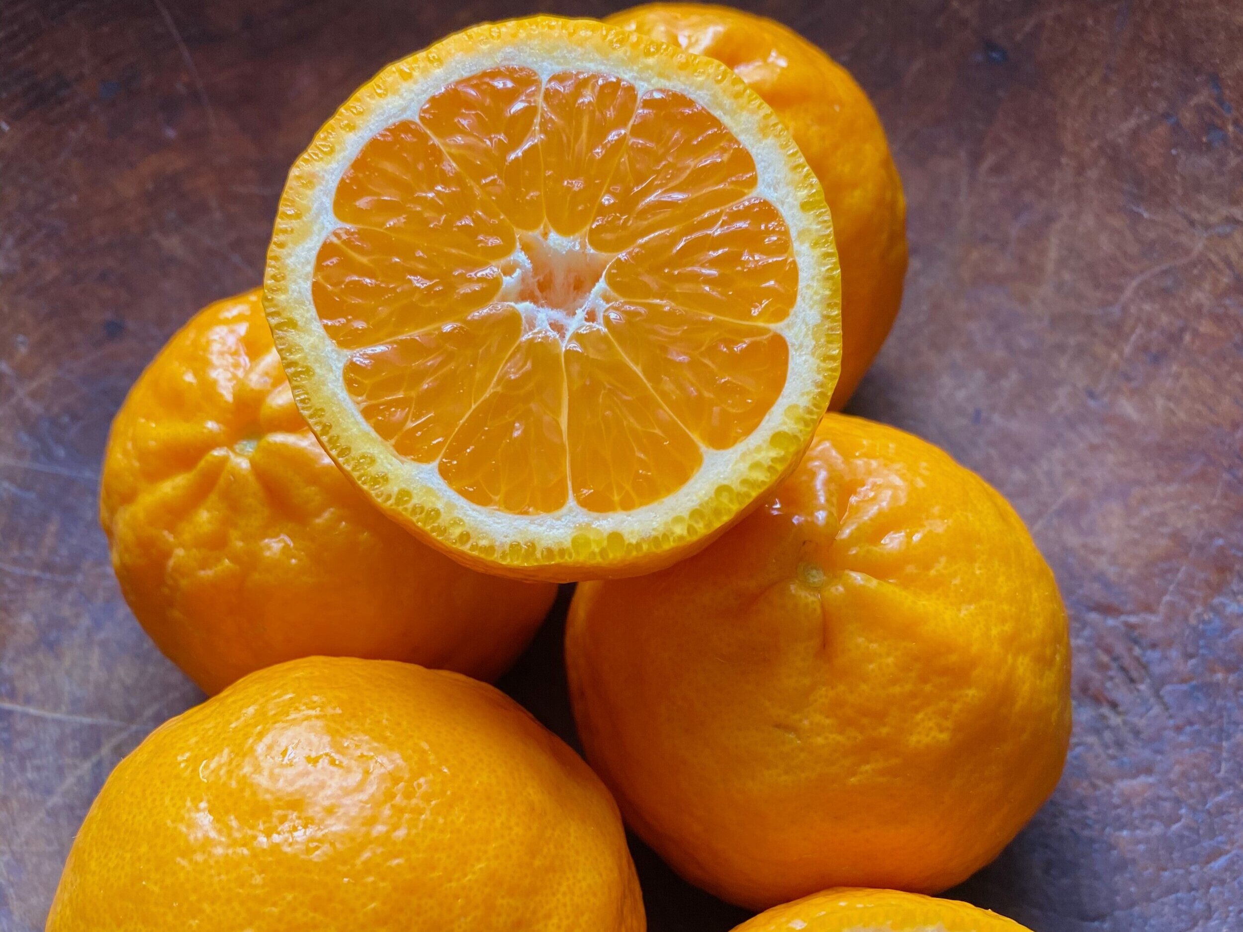 Late-Season Small Round Orange Things