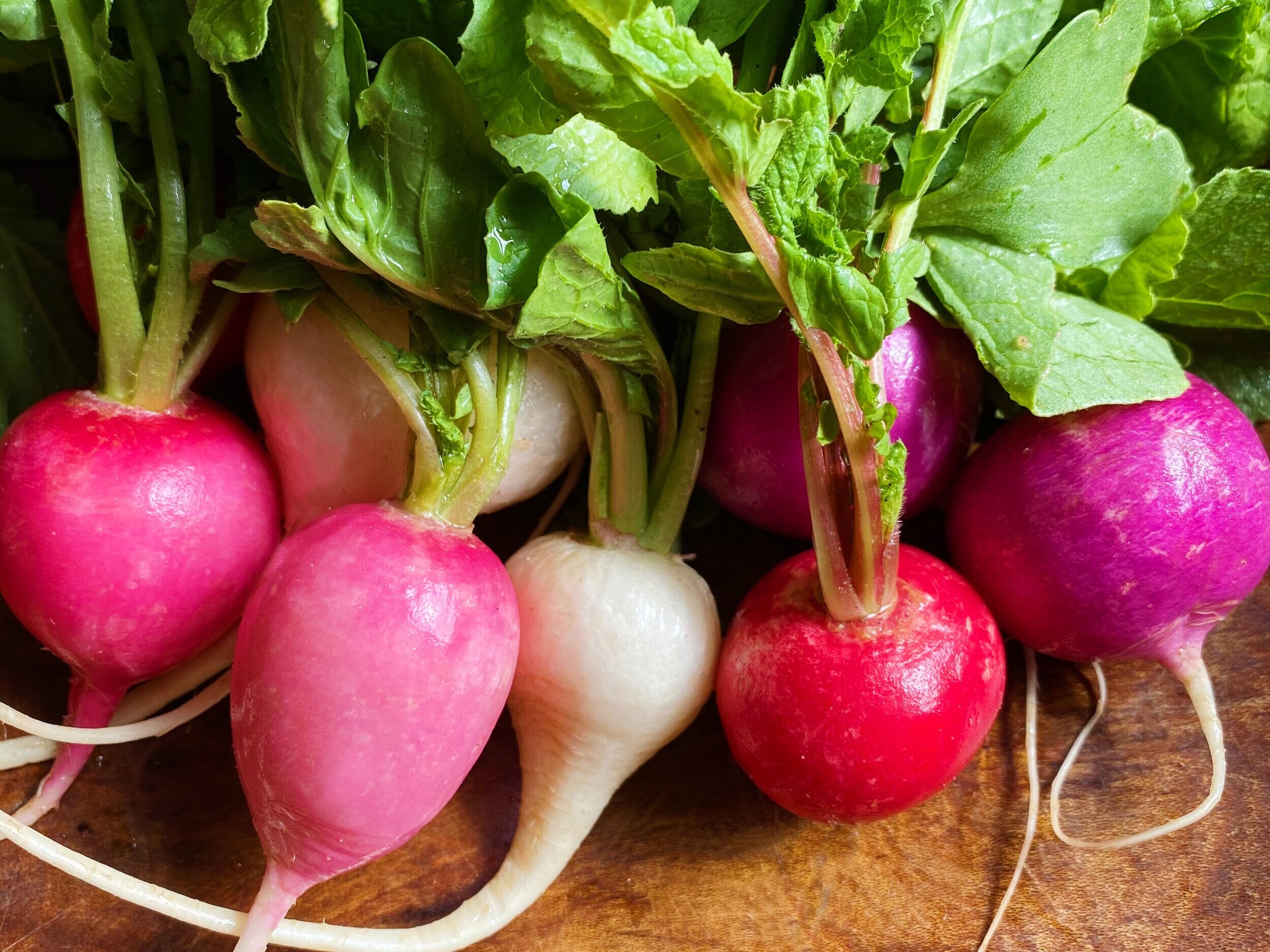 Early Spring Crops: Fresh Flavor For Eaters and Essential Income for Growers
