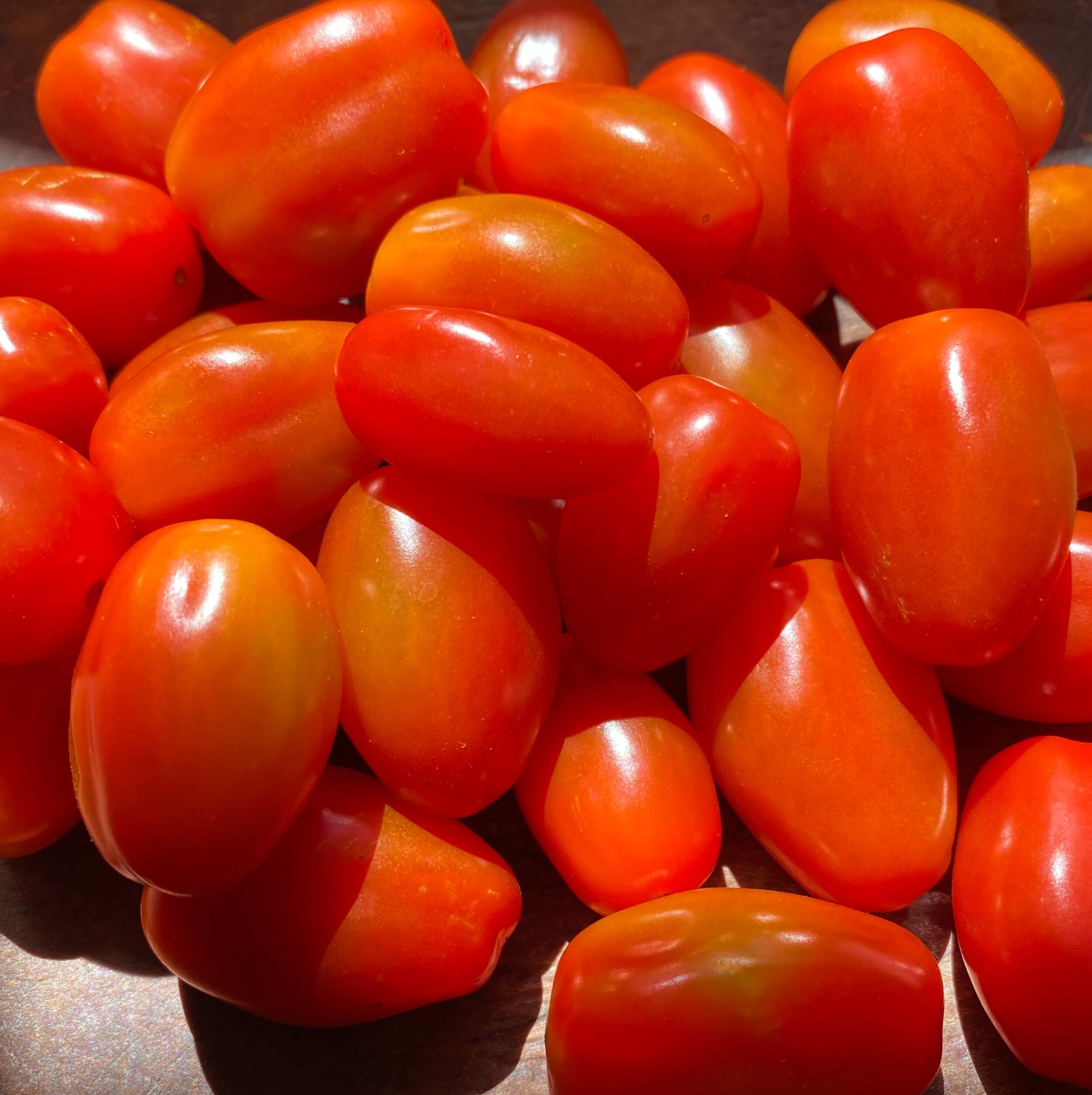 Grape_Tomatoes_Darlings_Wholesum.jpg