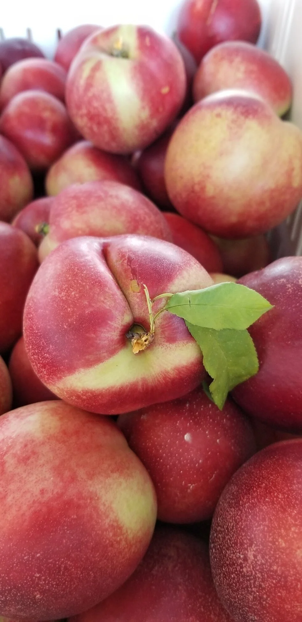 Stone Fruit Season is Here and Offers Endless Variety Thanks to