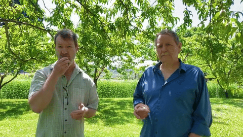 OGC Stone Fruit Experts Share Category Knowledge in Educational Video
