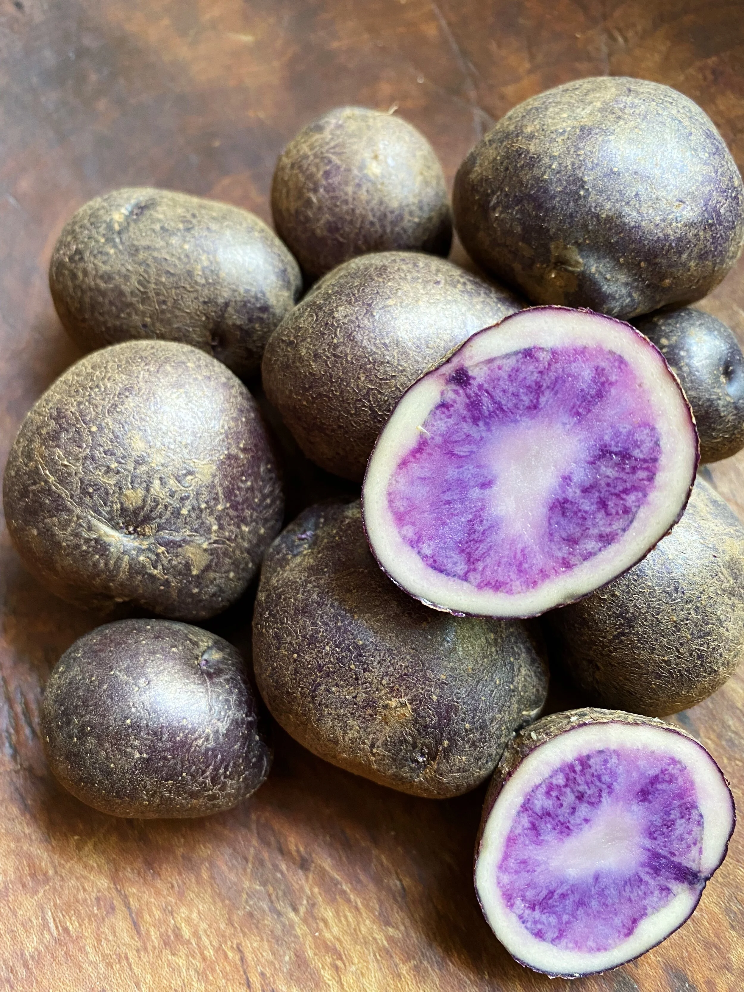 Purple_FullBelly.jpg