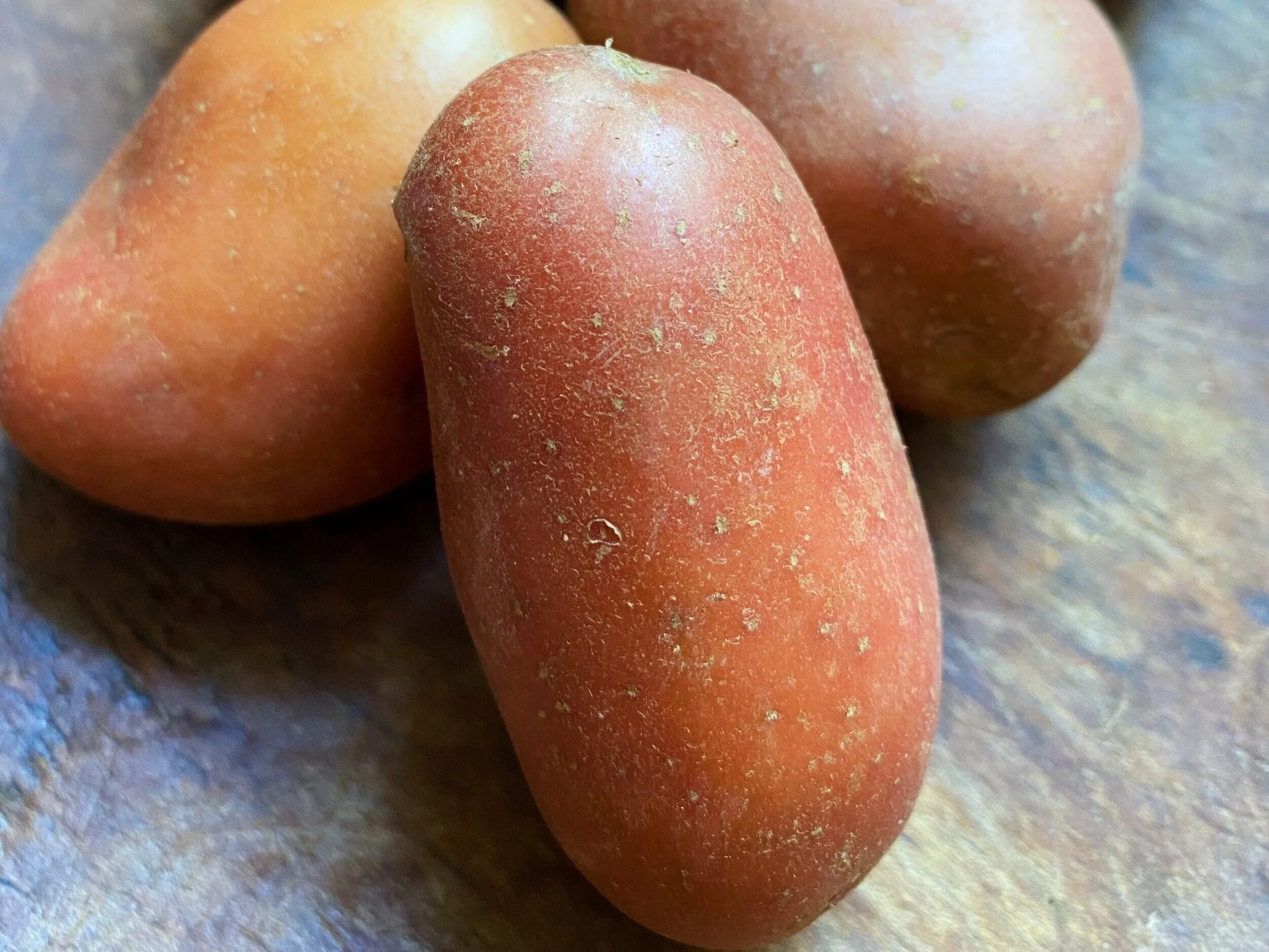 Fantastic, Freshly Dug Potatoes from Full Belly Farm