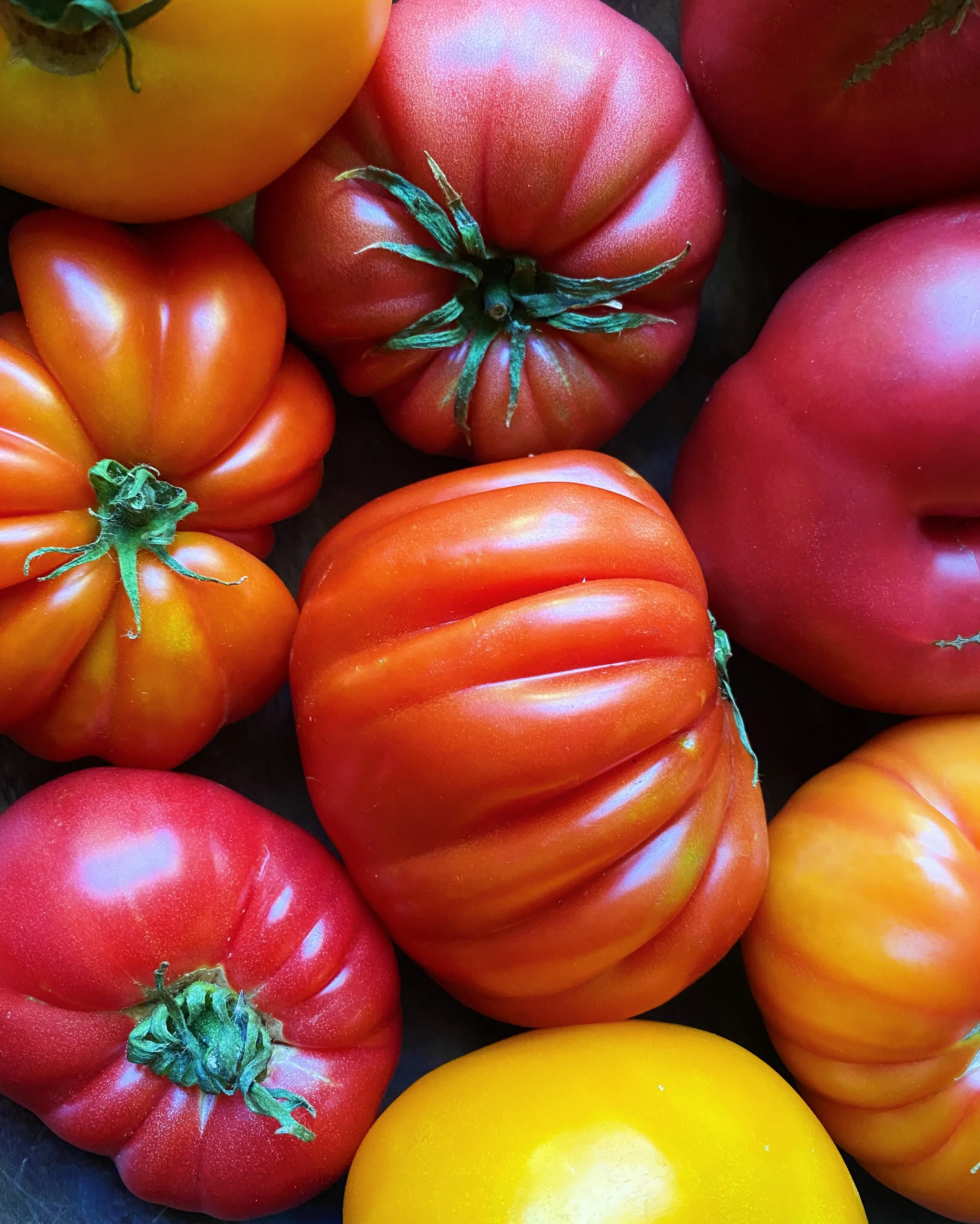Luscious Heirlooms Add Color and Curiosity to Tomato Displays