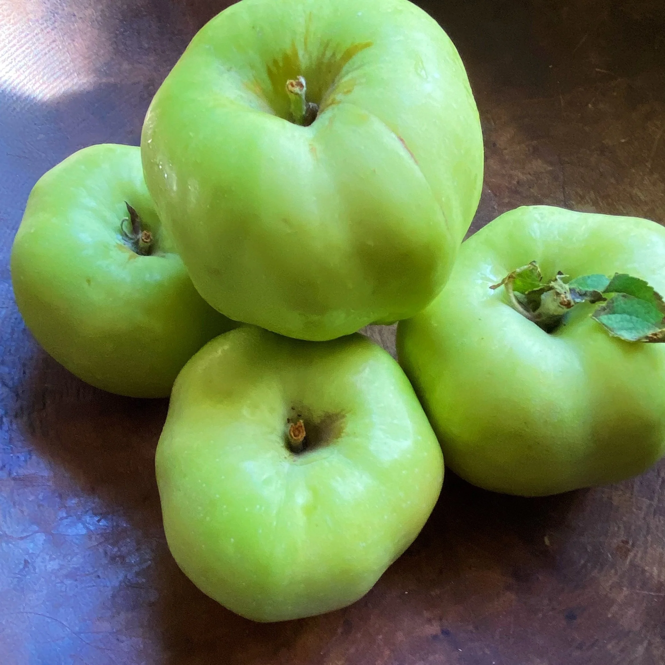 Calville_Blanc_Apple_Square.jpg