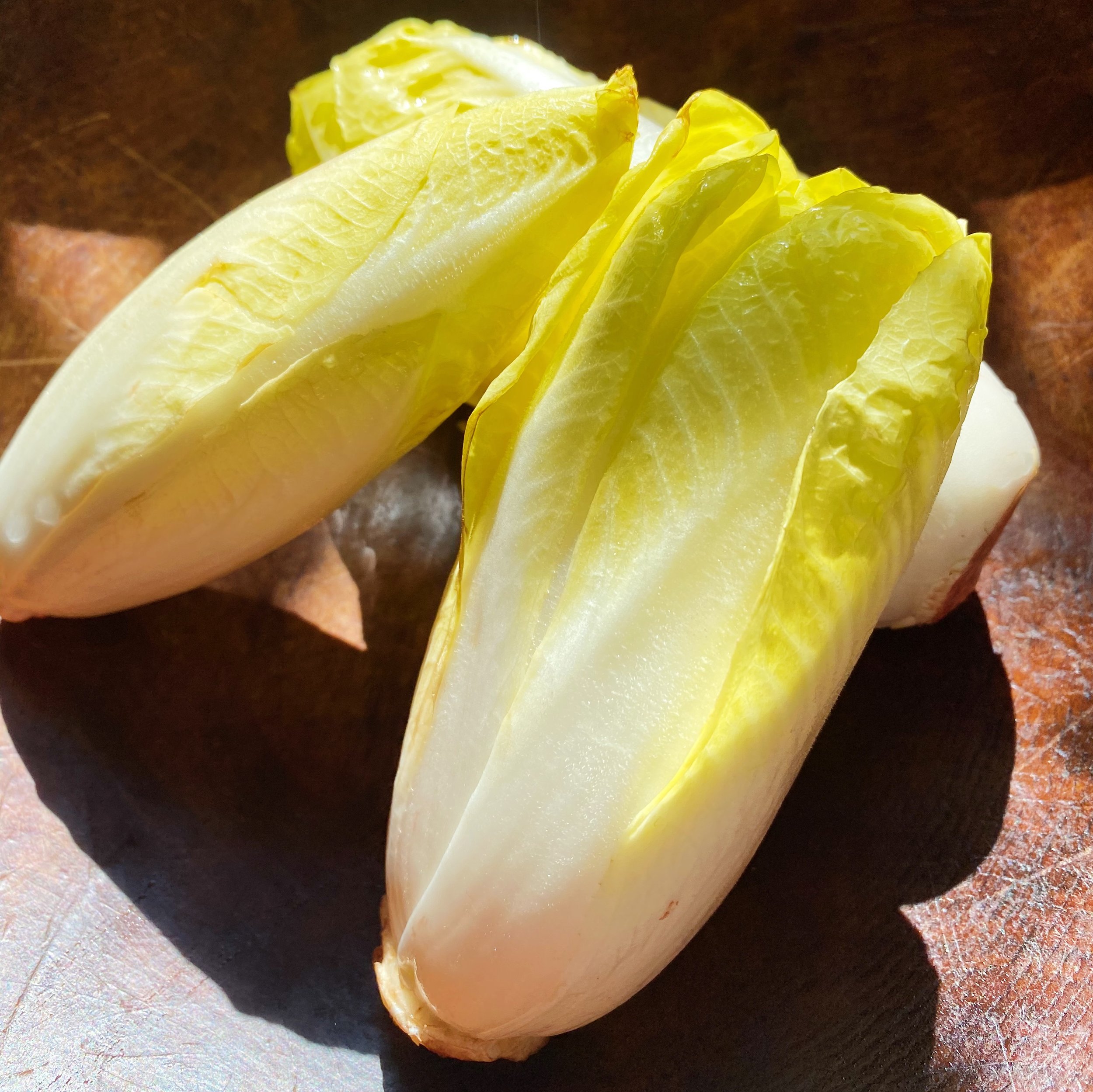 Belgian Endive_Square.jpg