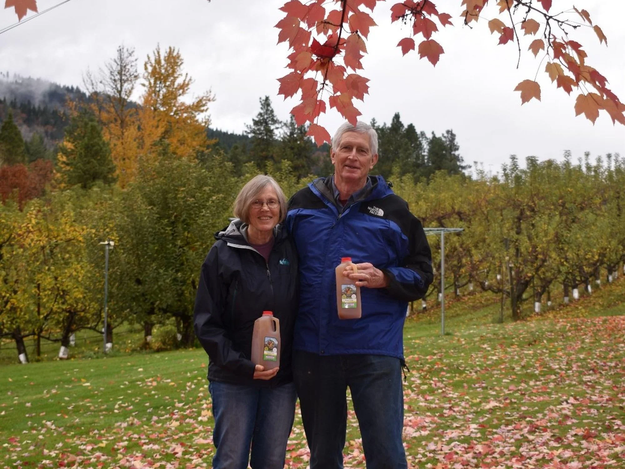 With the Care of a Vintner, Organic Orchards Cider Blended for Incredible Flavor