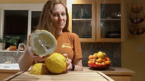 T’Orange Citron: Lots of Bang for Your Buck!