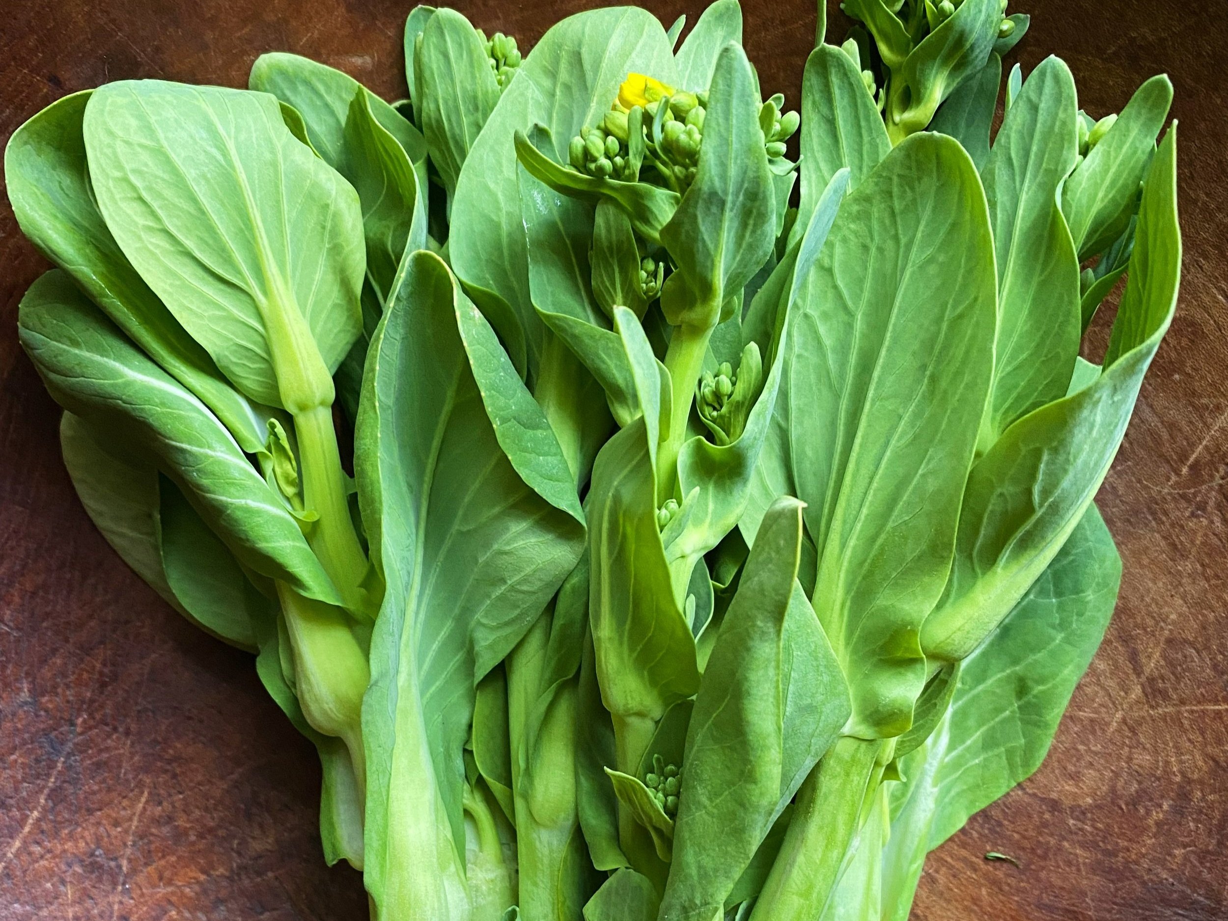 Shake Off Winter with Northwest-Grown Raab