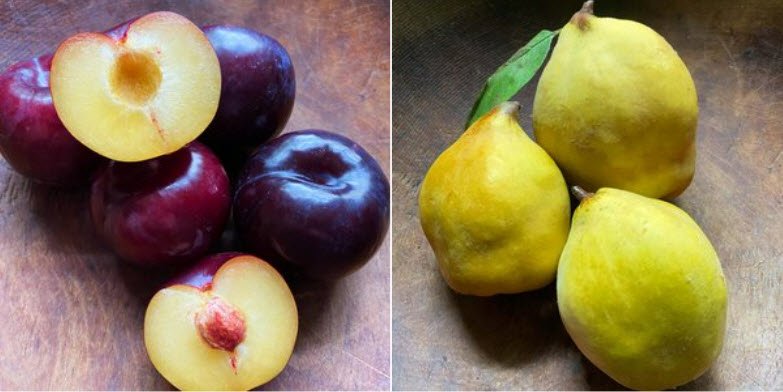 Summer Meets Fall in an Abundance of Flavor!