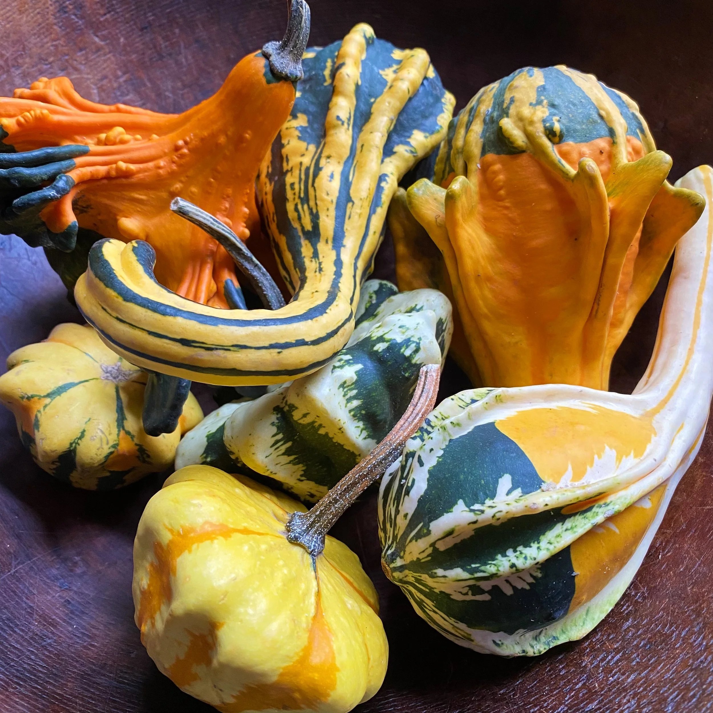 Decorative_Gourds_Square.jpg