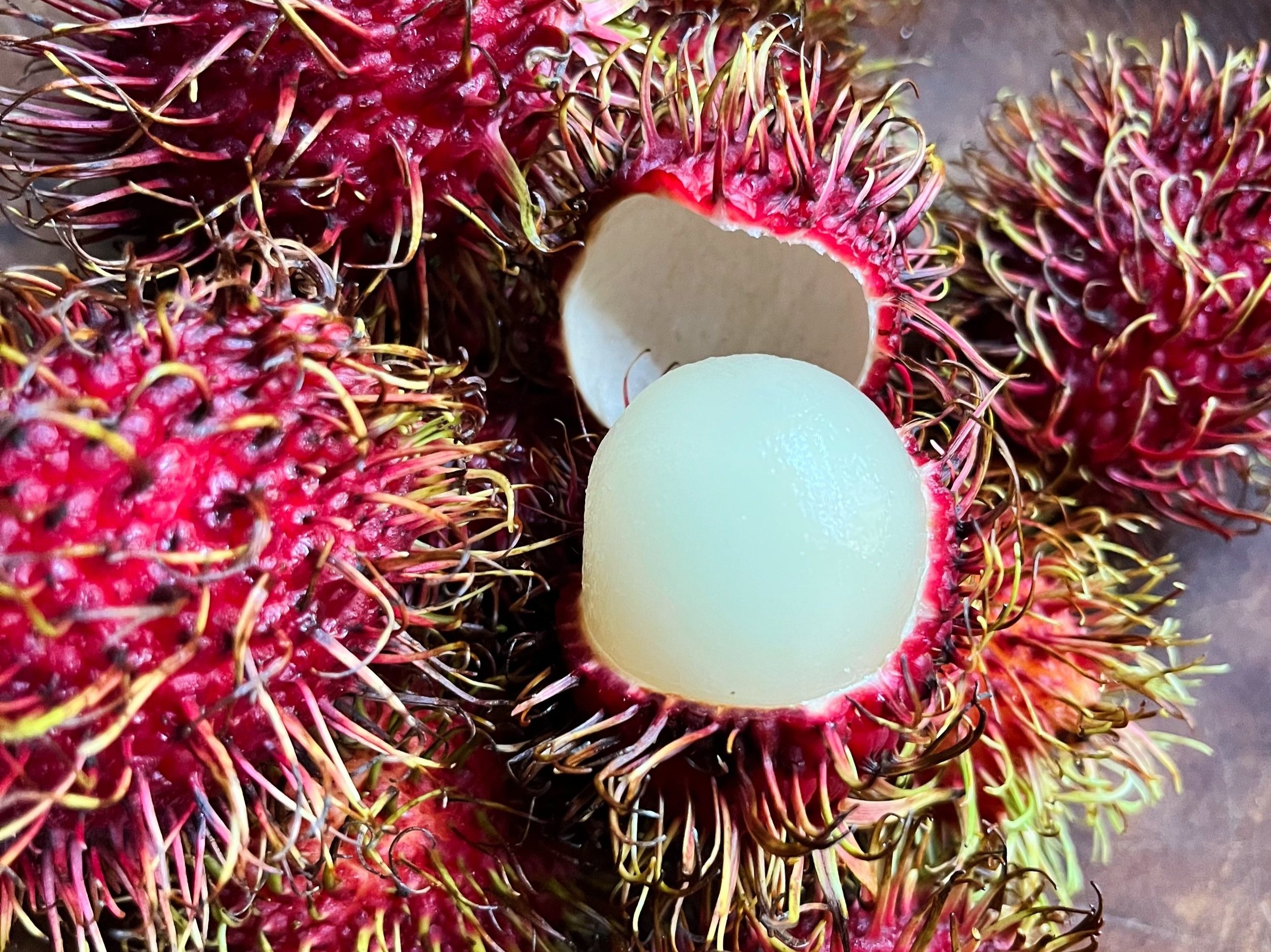 Citrus & Sub-Tropical Fruit Brings Color & Flavor to Fall Fare
