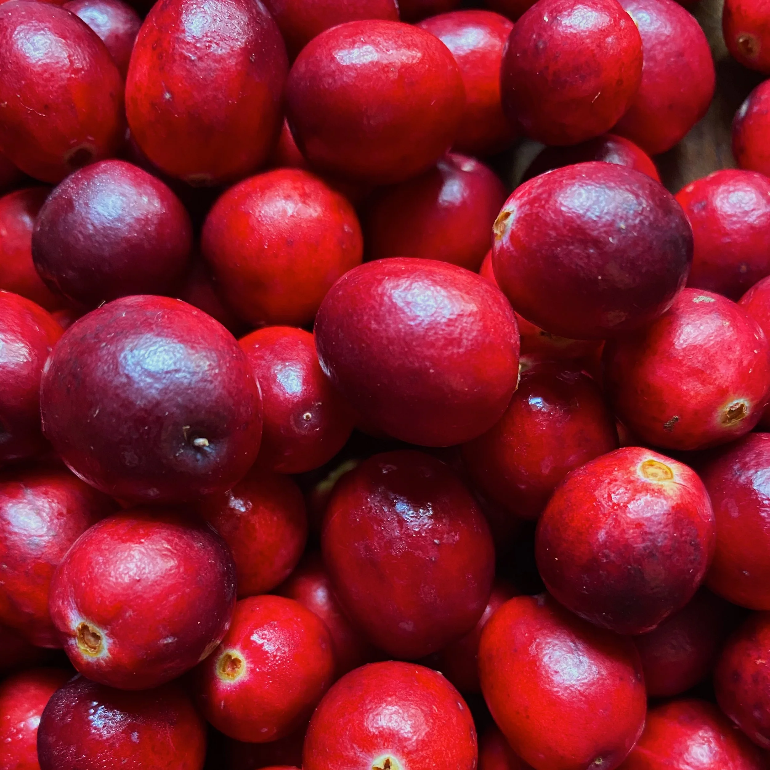 Cranberries_Square.jpg