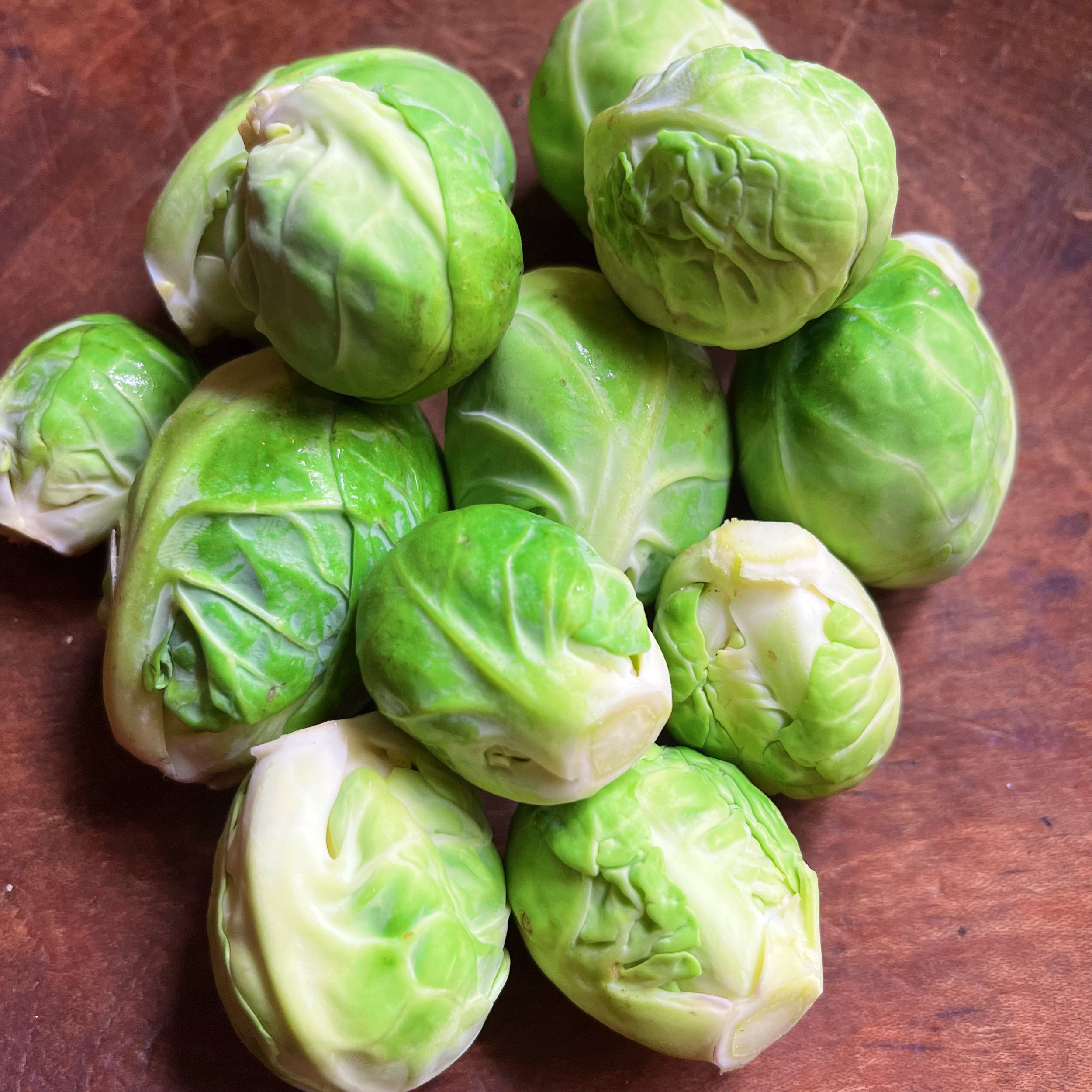 Brussels_Sprouts_Square.JPG