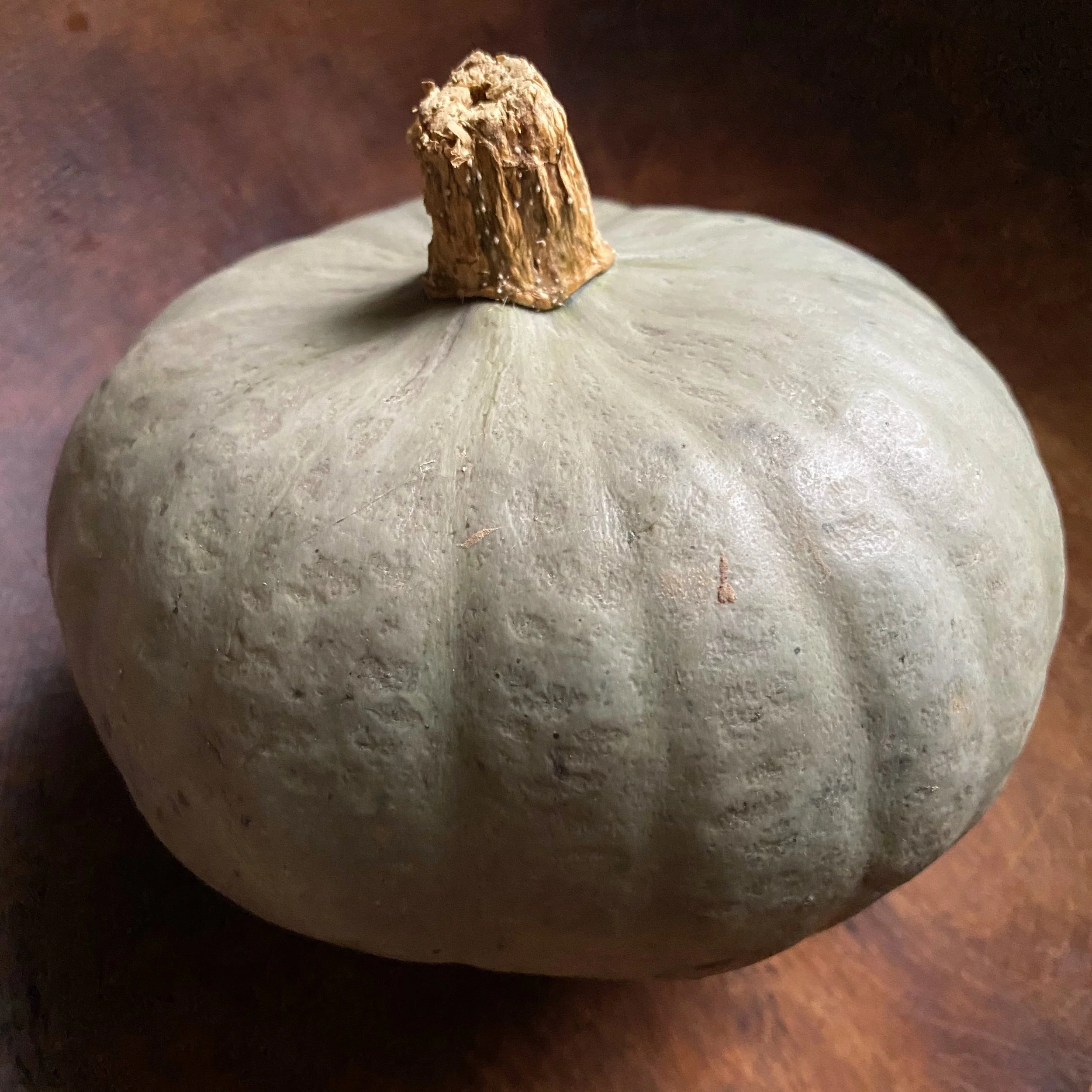 Winter Sweet Kabocha._Squarejpg.jpg