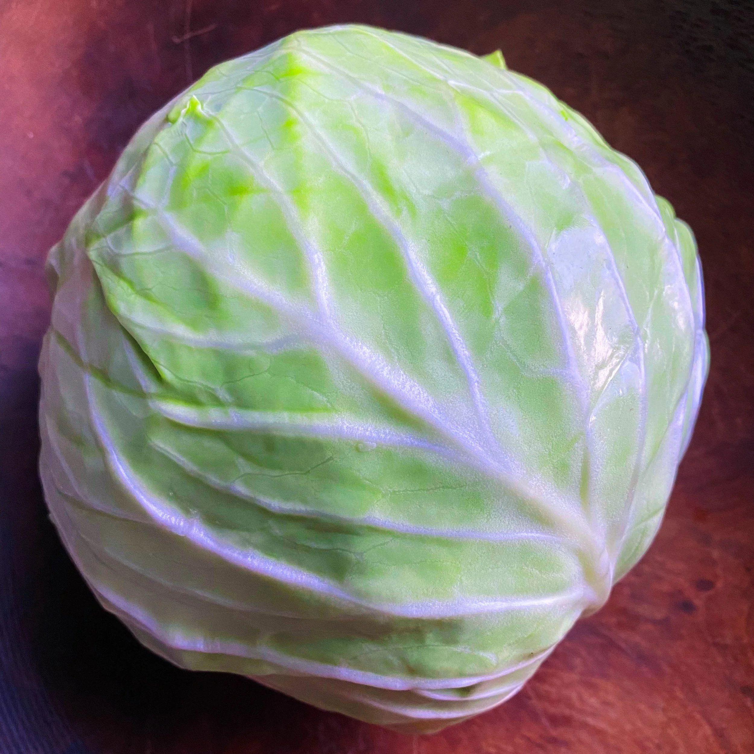 Green_Cabbage_Square.jpg