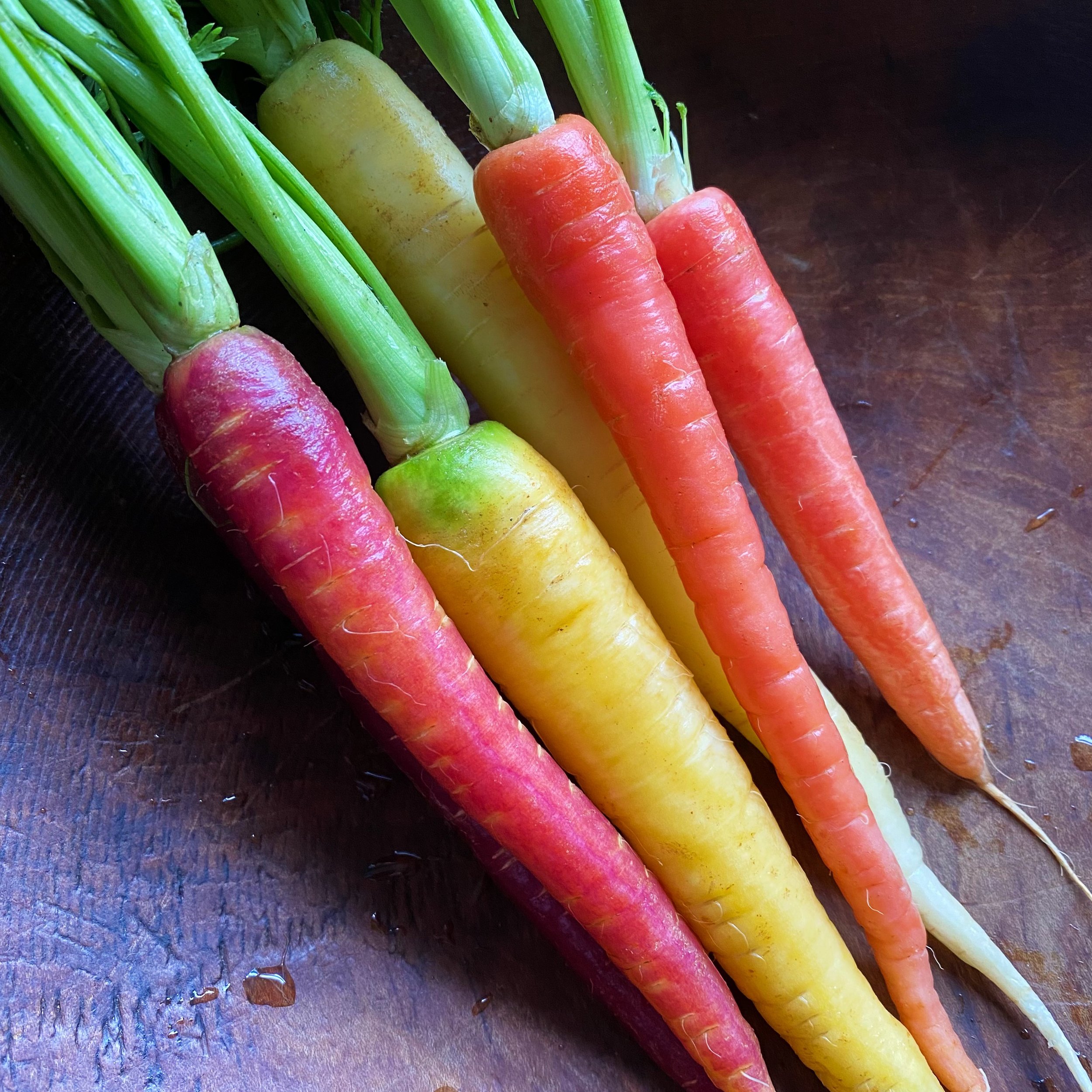 Rainbow_Carrots_Square.jpg