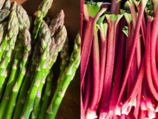 Start Planning for Mother’s Day with These Must-Haves