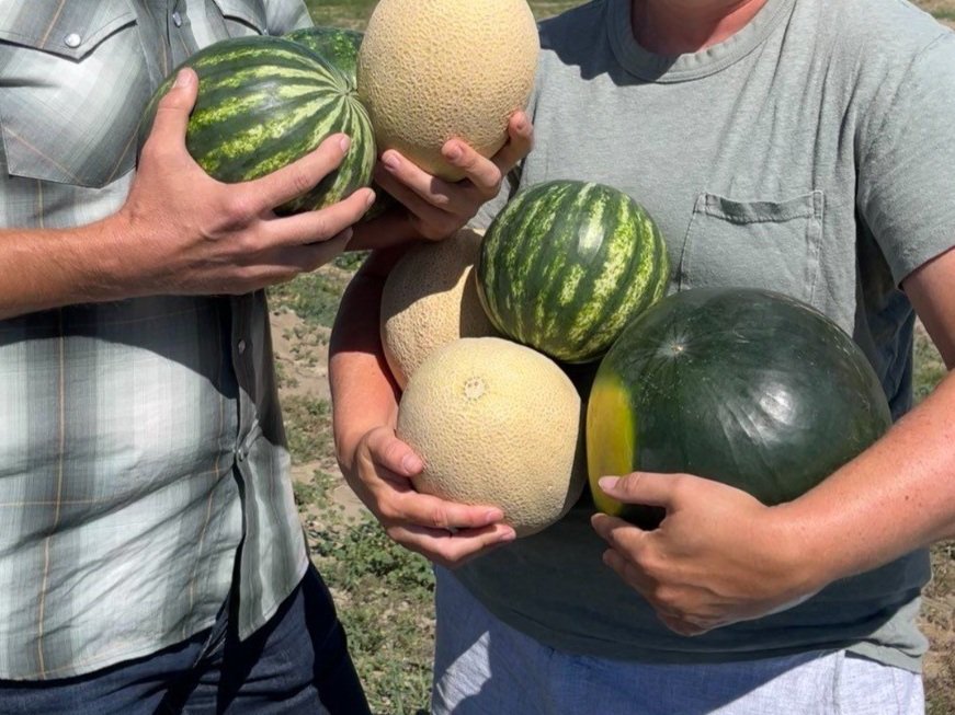 It’s Peak NW Melon Season! 