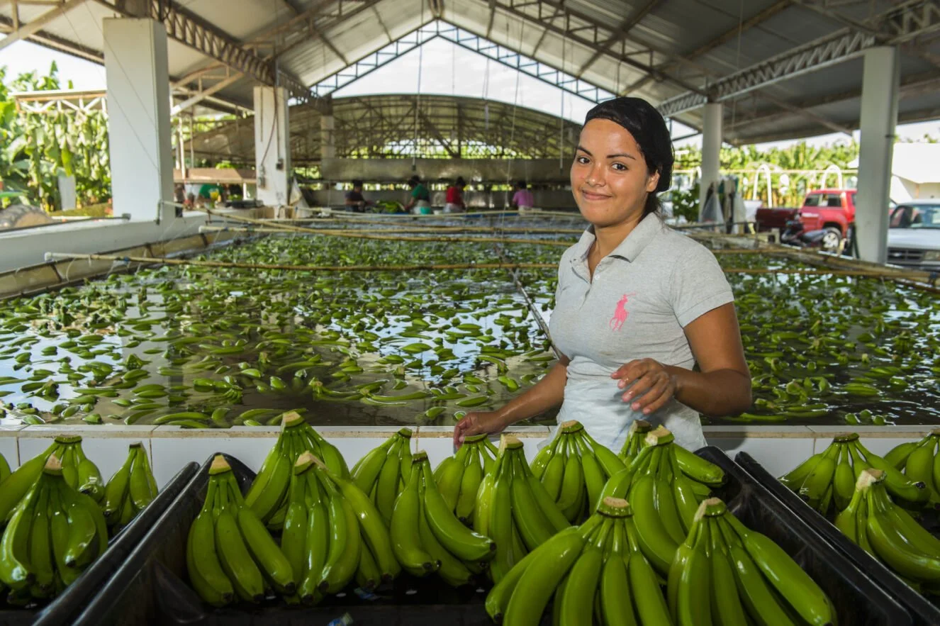 Banana pack house_GROW.jpg