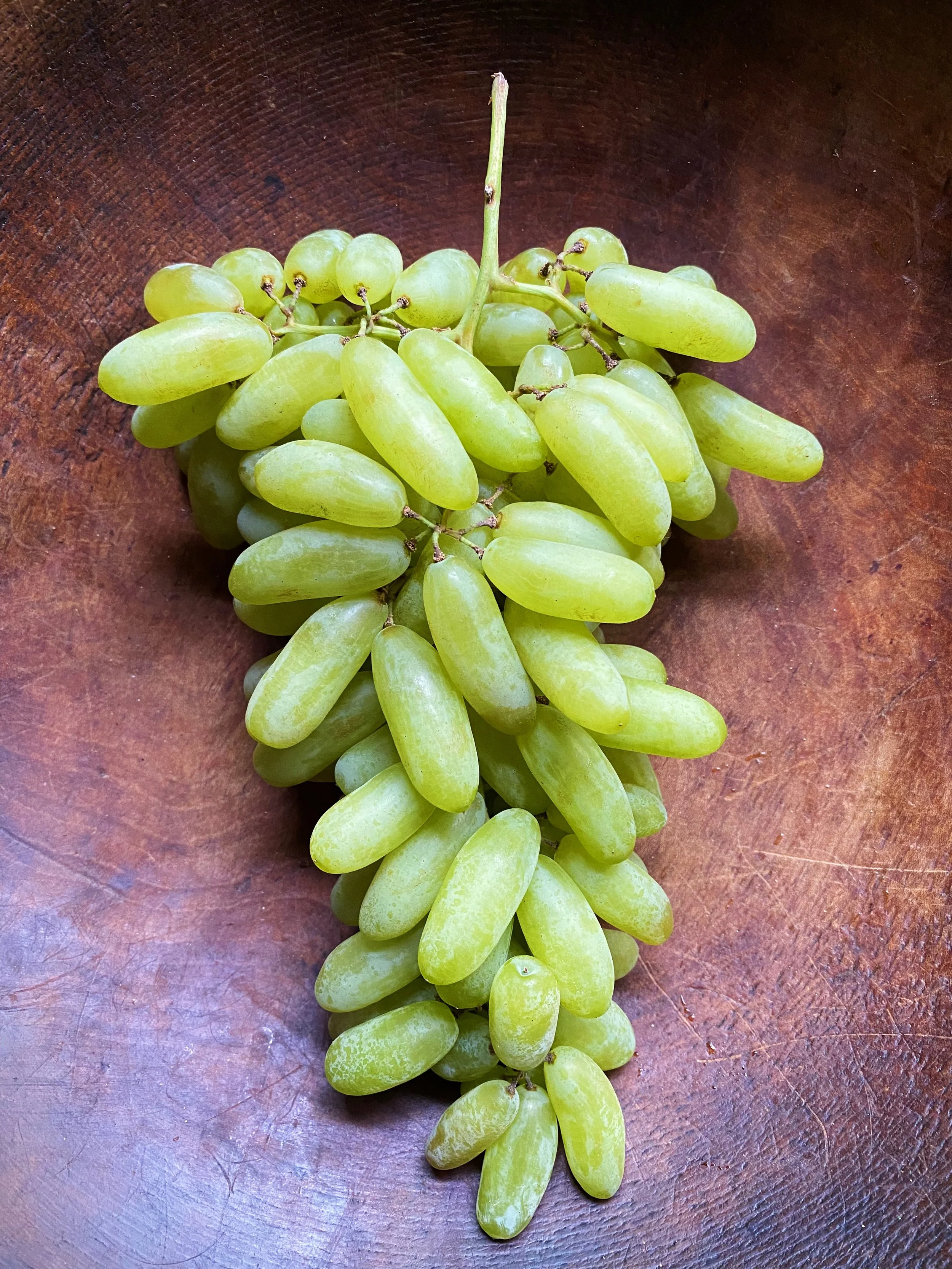 Quip_Grapes_Vertical.jpg