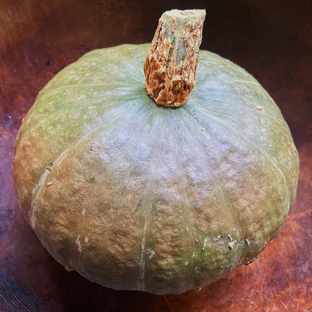 Winter Sweet Kabocha