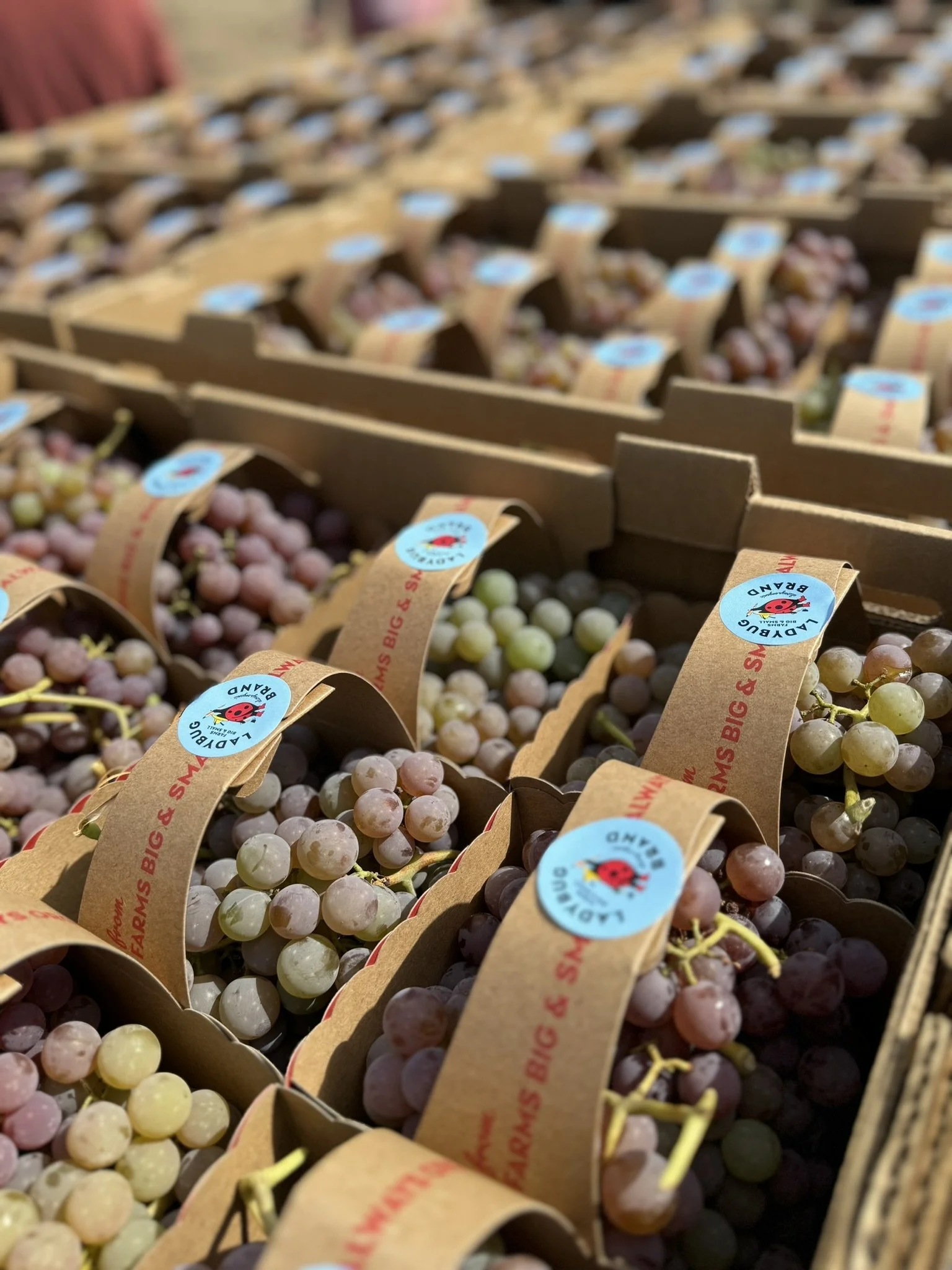 Small Acts, Big Impact LDB Totes.JPEG