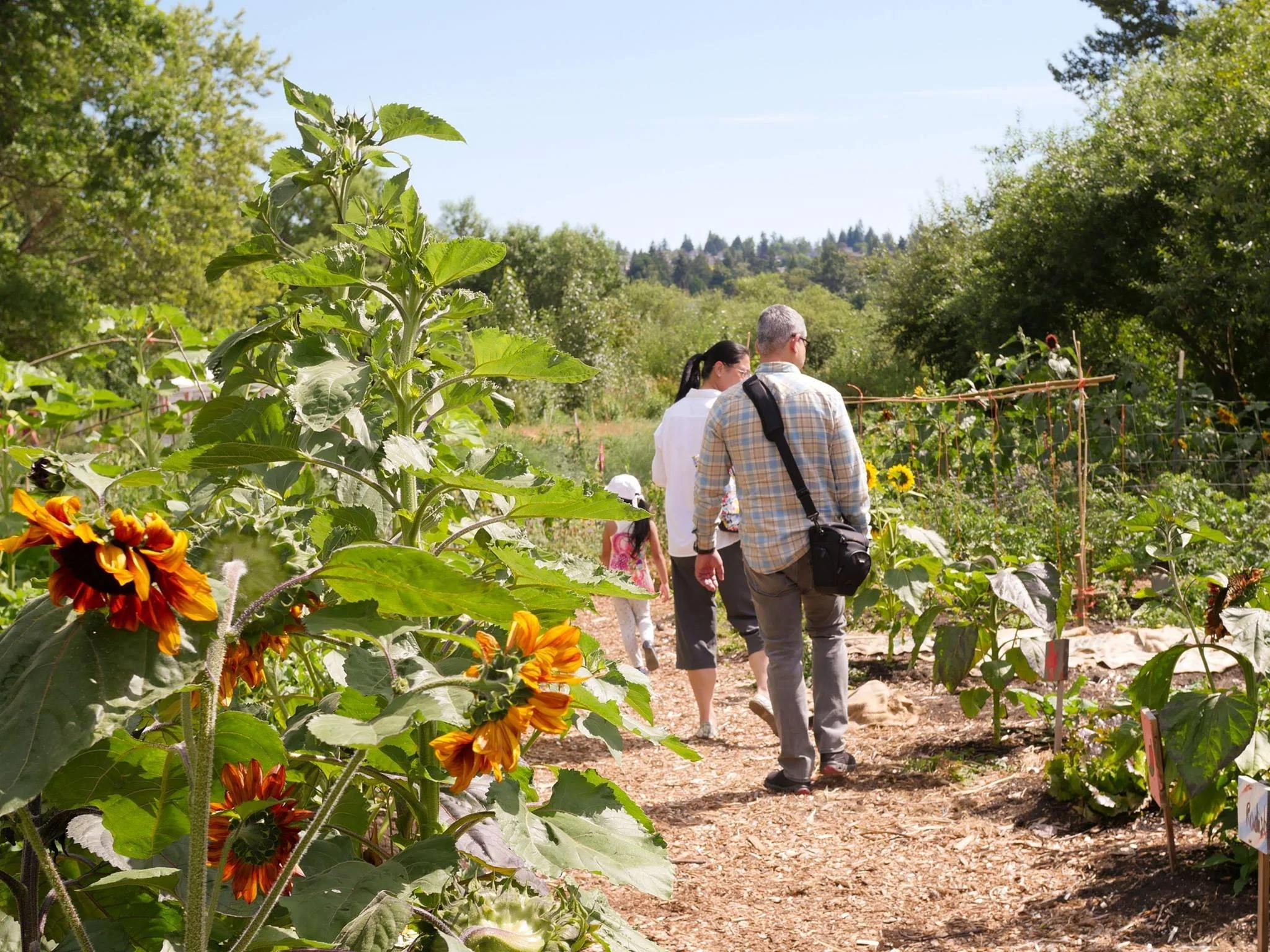 Rainier-Beach-Urban-Farm-Wetlands-Family-Walking.jpg