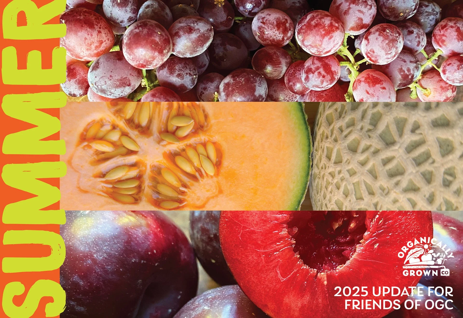 2025 Summer Update