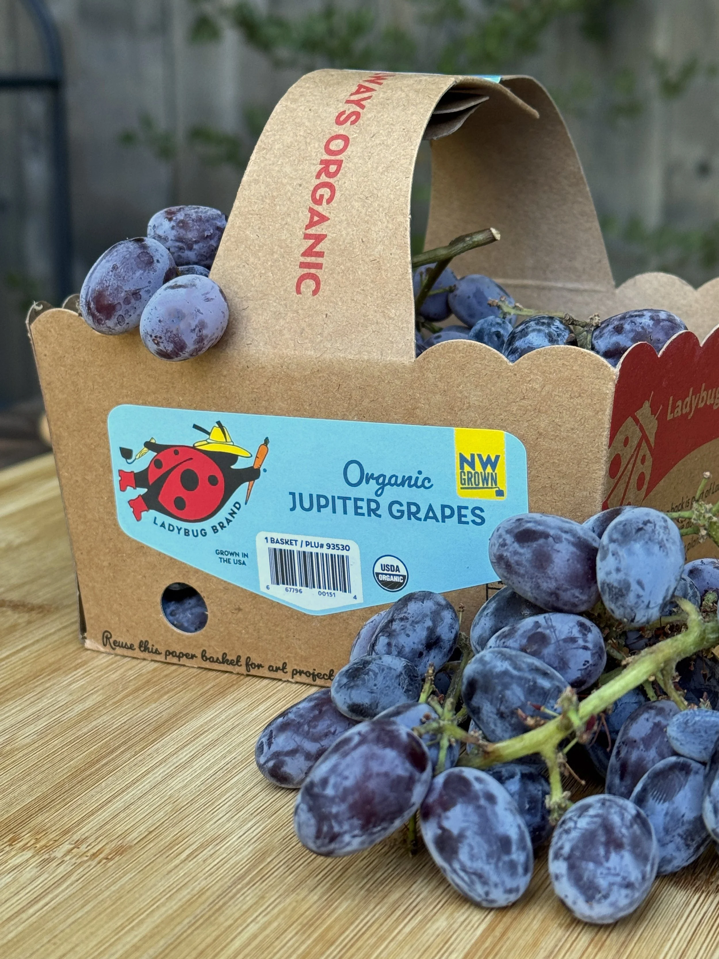 LDB Jupiter Grapes 3 2025.jpg