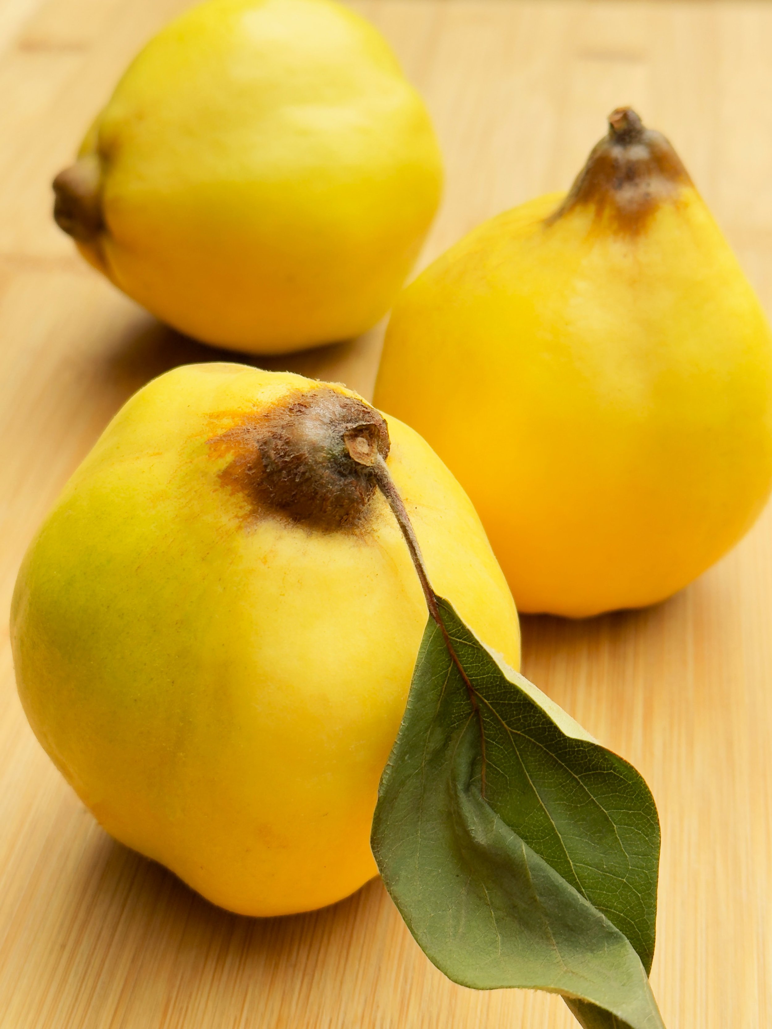 NW Quince 3 2025.jpg