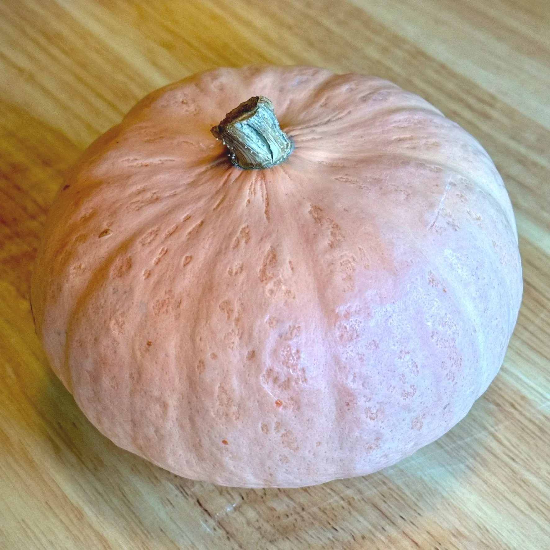 Pink Kabocha