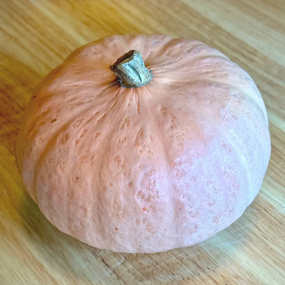 Pink Kabocha