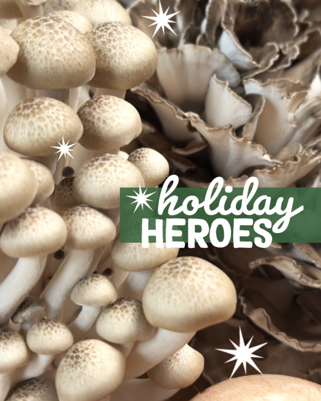 &lsquo;Tis the Season for Festive Fungi!​ ✨ 

As mushrooms&rsquo; surge in popularity continues, more and more eaters load their holiday tables with dishes featuring fungi. From appetizers and meatless mains to savory stews and rich gravies, there ar